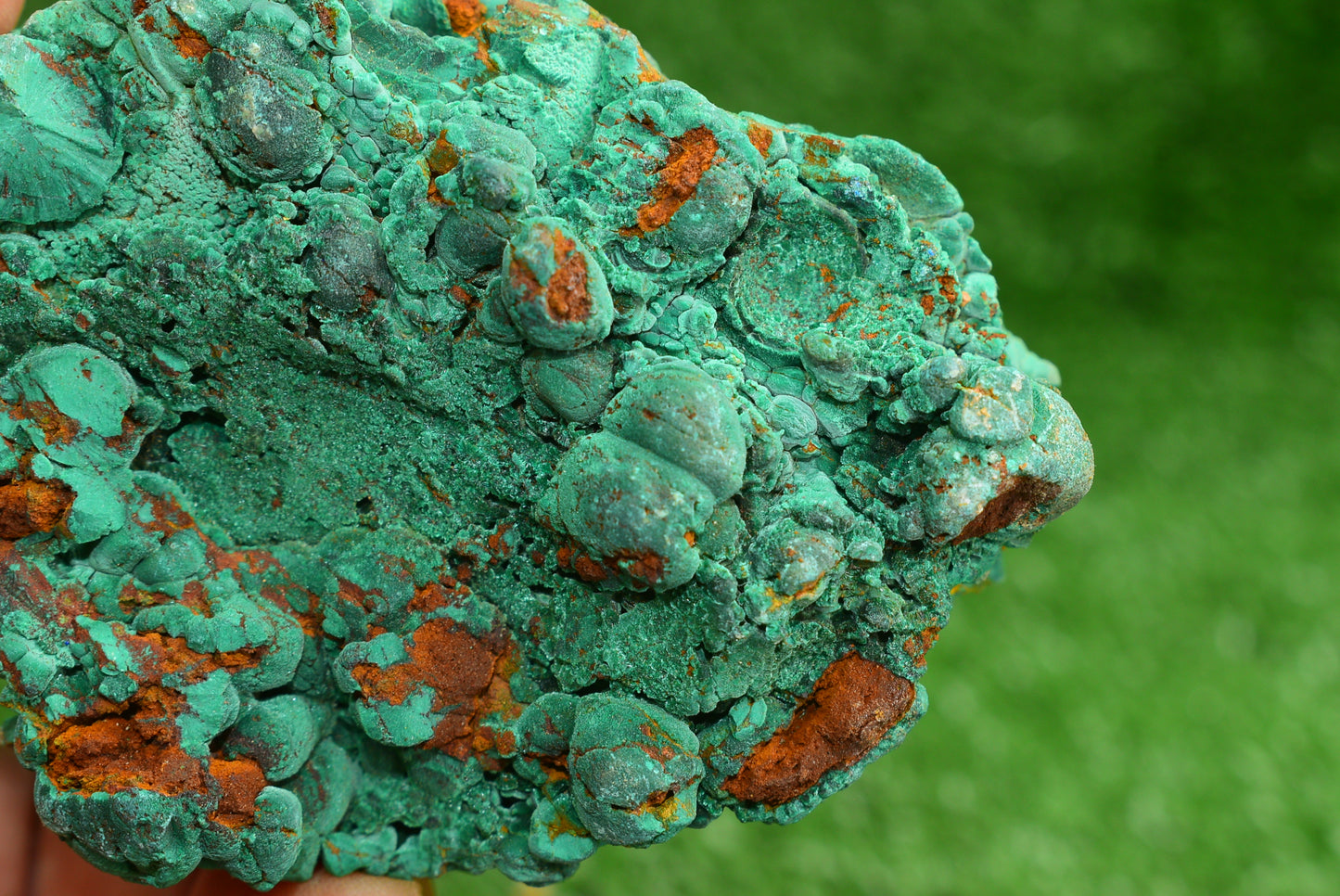 Malachite Crystal from Morocco - Freeform Cluster Shape, Natural and Genuine - MeteoriteNwa.com