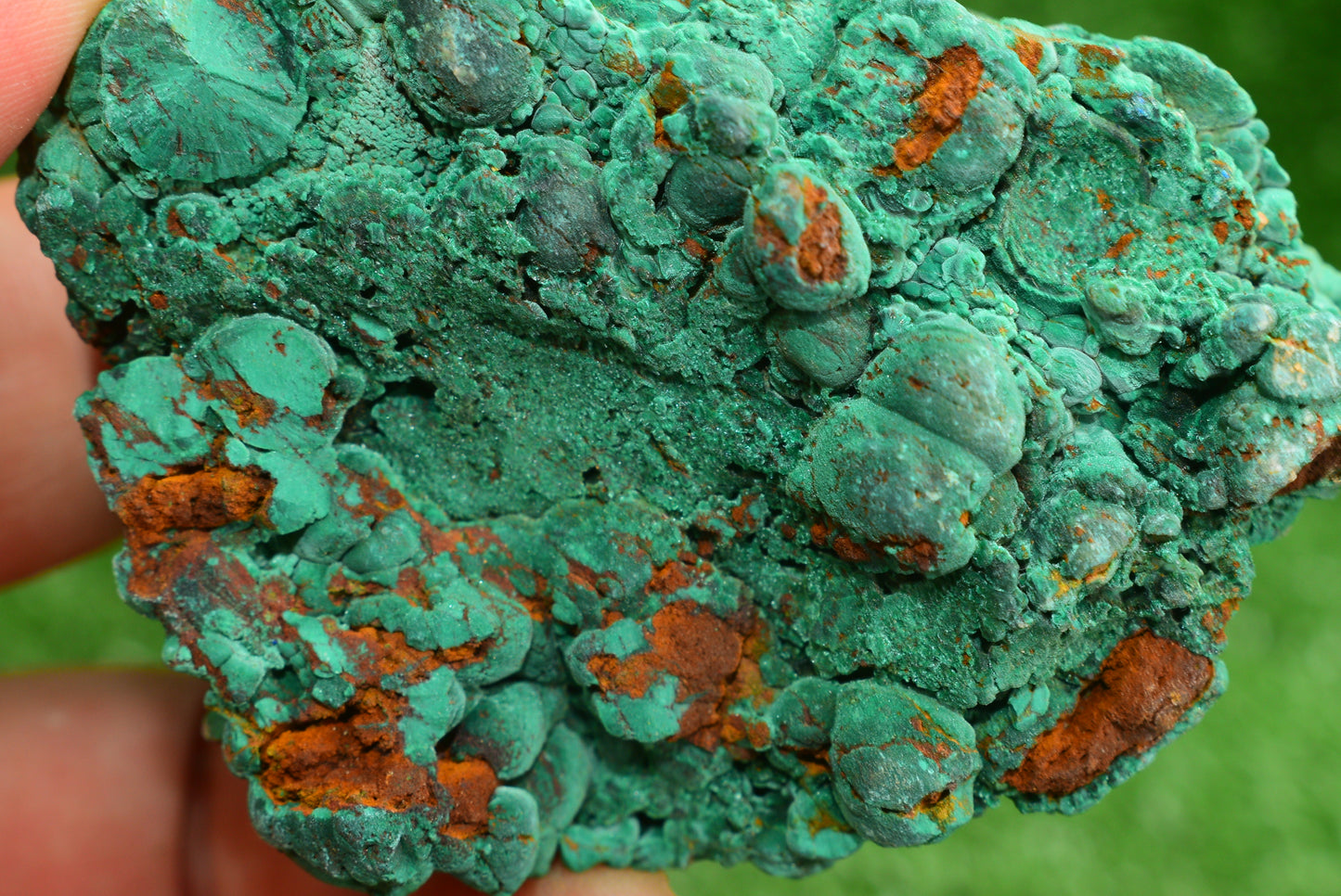 Malachite Crystal from Morocco - Freeform Cluster Shape, Natural and Genuine - MeteoriteNwa.com