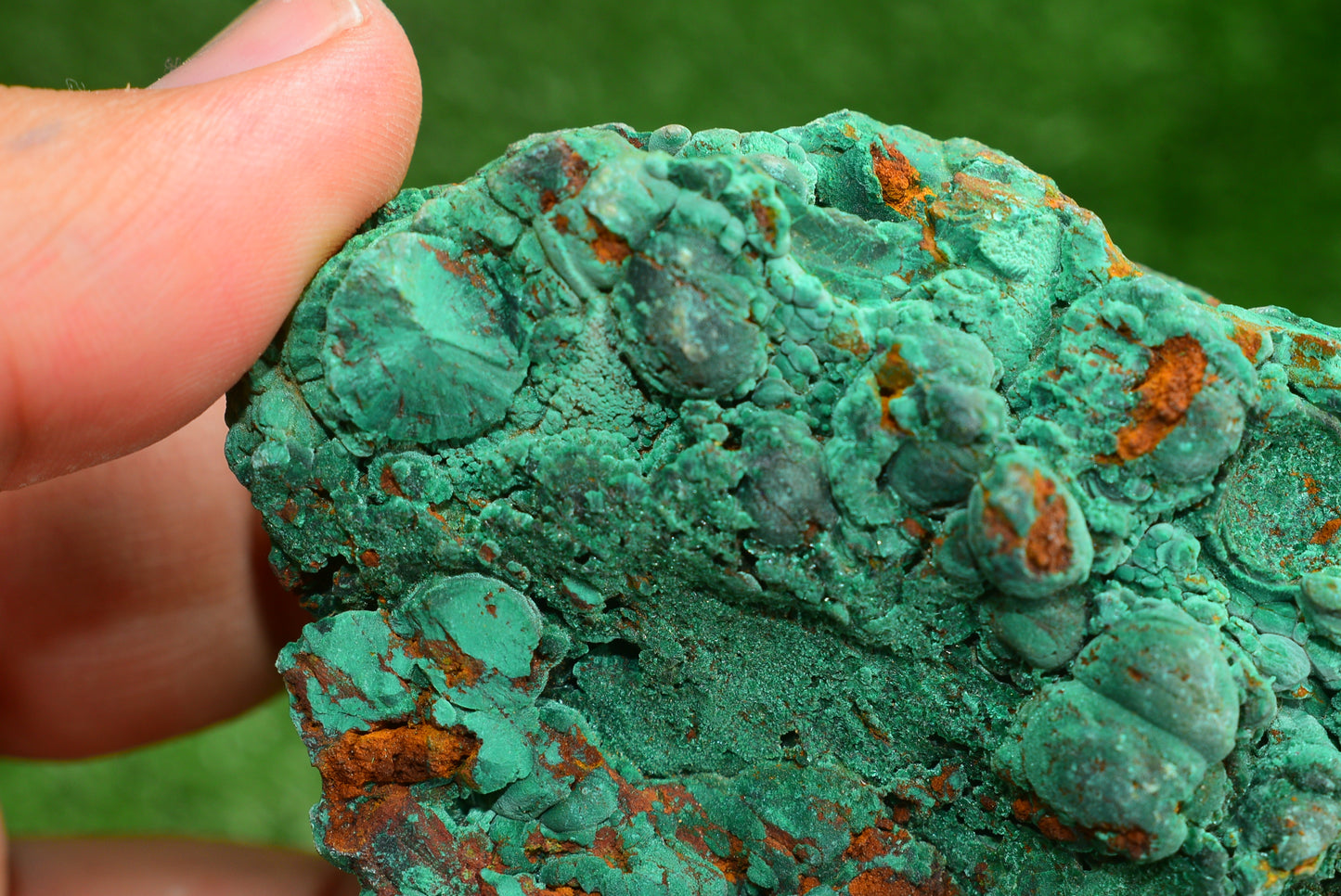 Malachite Crystal from Morocco - Freeform Cluster Shape, Natural and Genuine - MeteoriteNwa.com