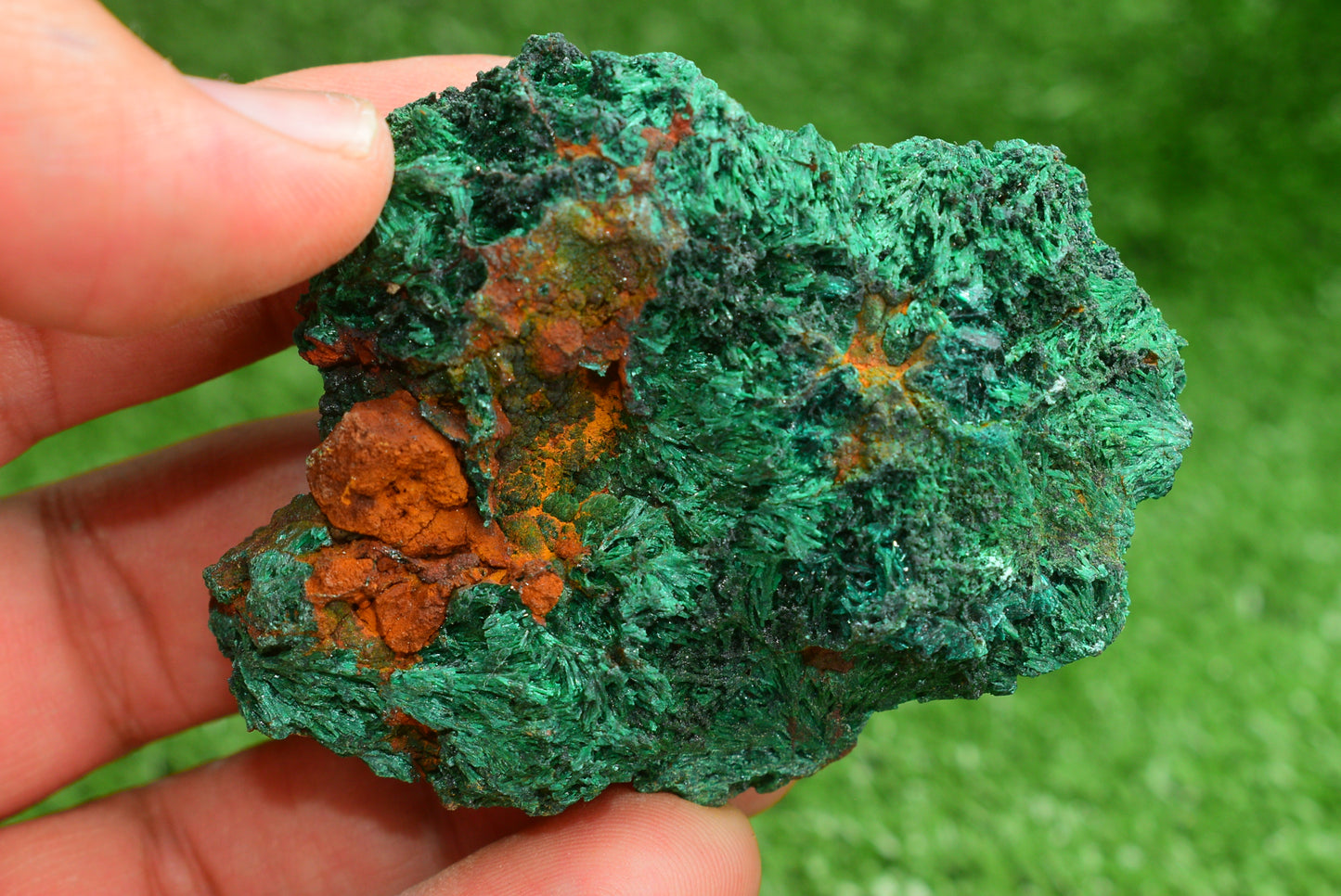 Malachite Crystal from Morocco - Freeform Cluster Shape, Natural and Genuine - MeteoriteNwa.com