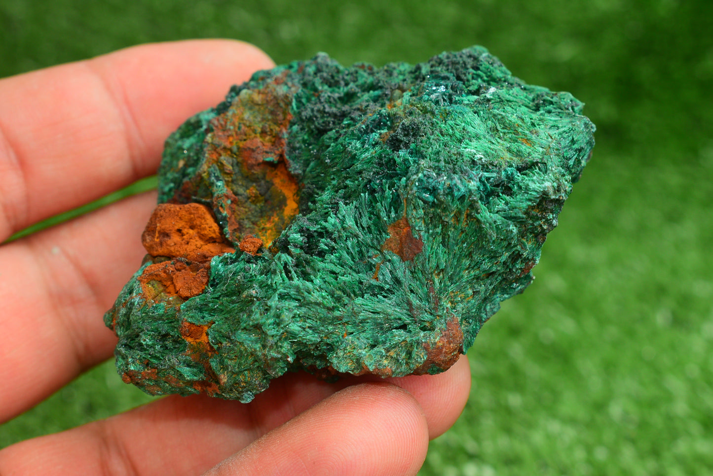 Malachite Crystal from Morocco - Freeform Cluster Shape, Natural and Genuine - MeteoriteNwa.com