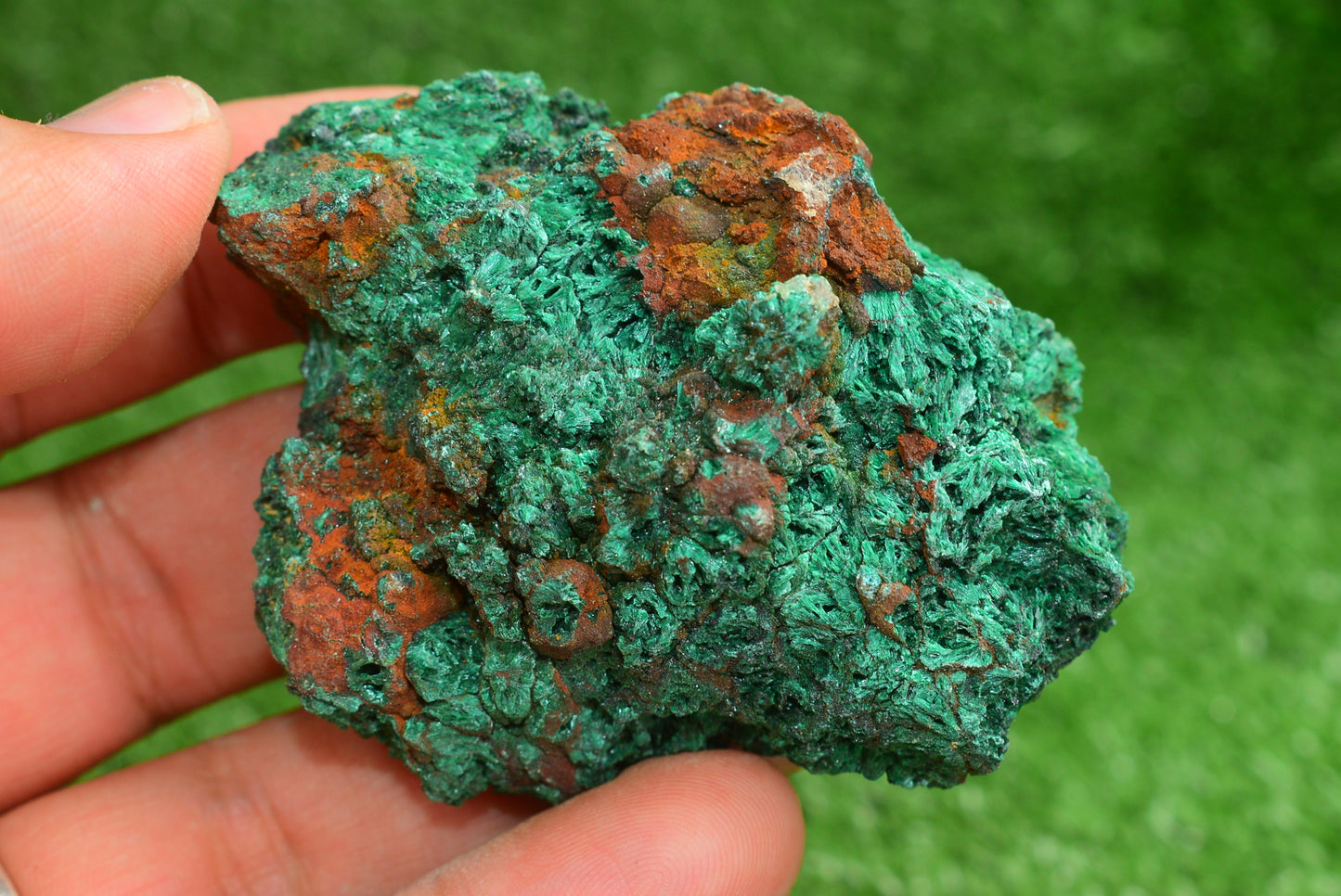 Malachite Crystal from Morocco - Freeform Cluster Shape, Natural and Genuine - MeteoriteNwa.com