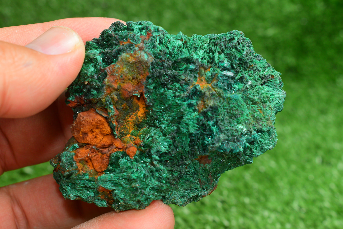 Malachite Crystal from Morocco - Freeform Cluster Shape, Natural and Genuine - MeteoriteNwa.com