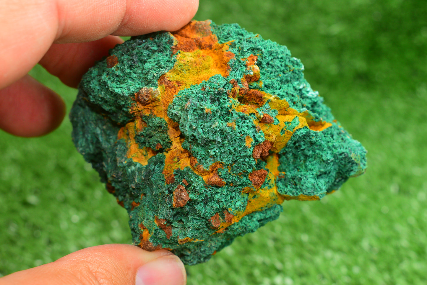 Malachite Crystal from Morocco - Freeform Cluster Shape, Natural and Genuine - MeteoriteNwa.com