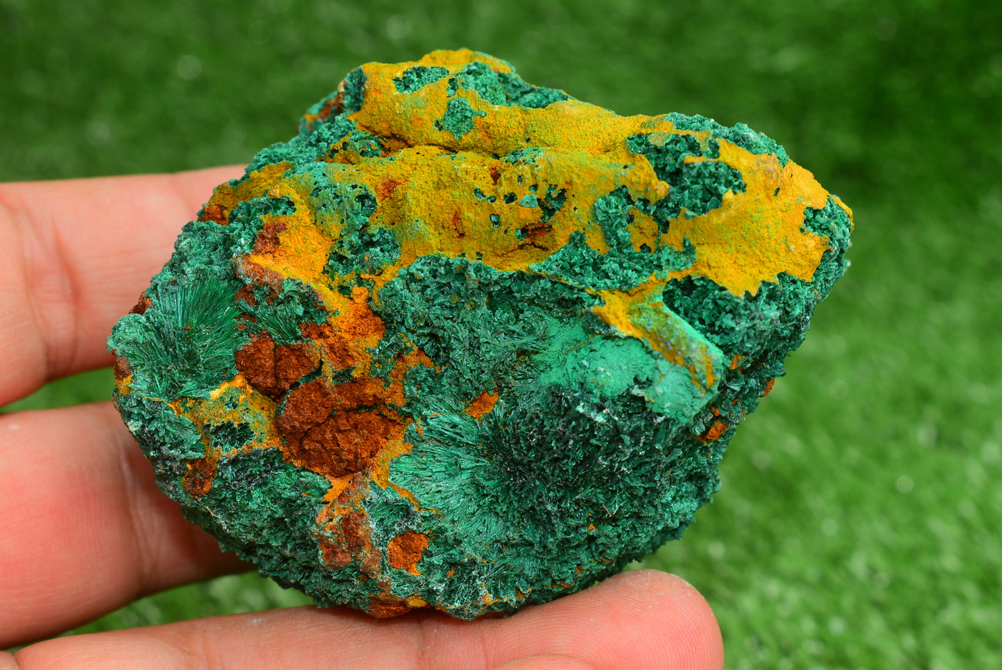 Malachite Crystal from Morocco - Freeform Cluster Shape, Natural and Genuine - MeteoriteNwa.com