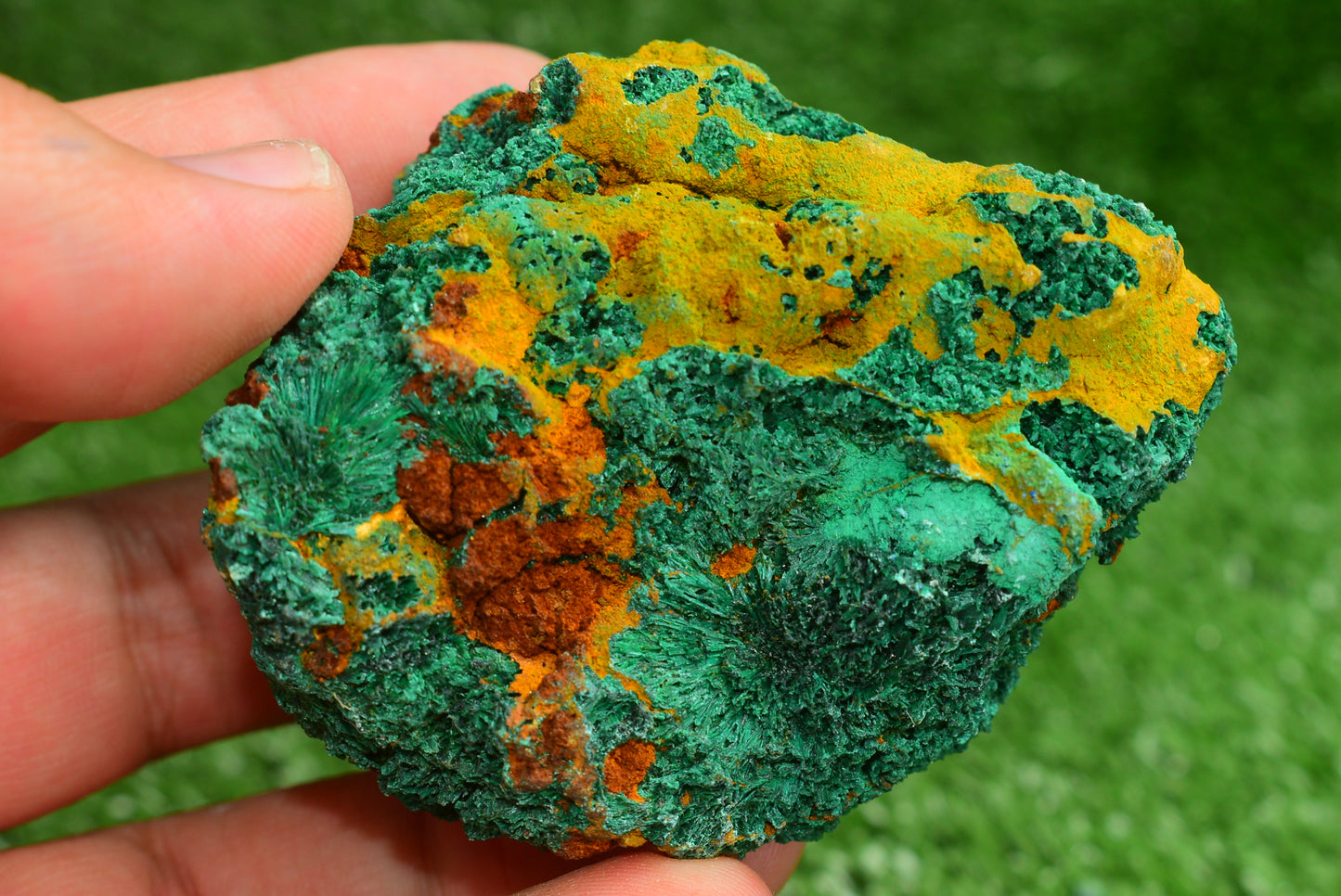 Malachite Crystal from Morocco - Freeform Cluster Shape, Natural and Genuine - MeteoriteNwa.com
