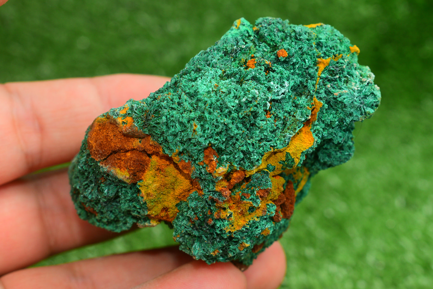 Malachite Crystal from Morocco - Freeform Cluster Shape, Natural and Genuine - MeteoriteNwa.com