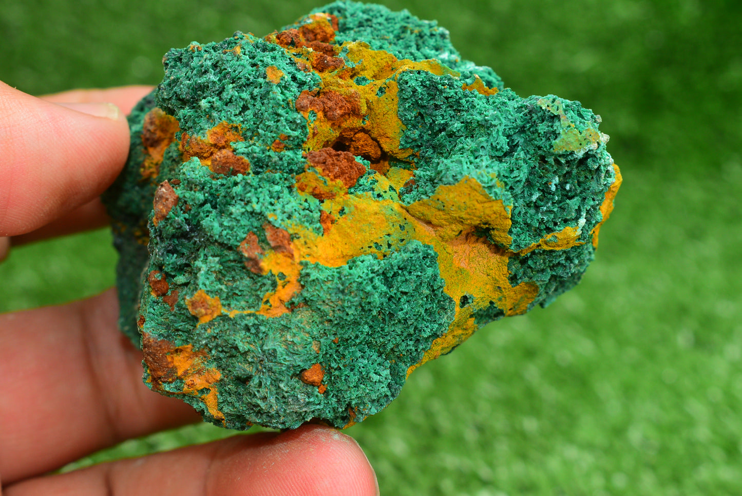 Malachite Crystal from Morocco - Freeform Cluster Shape, Natural and Genuine - MeteoriteNwa.com