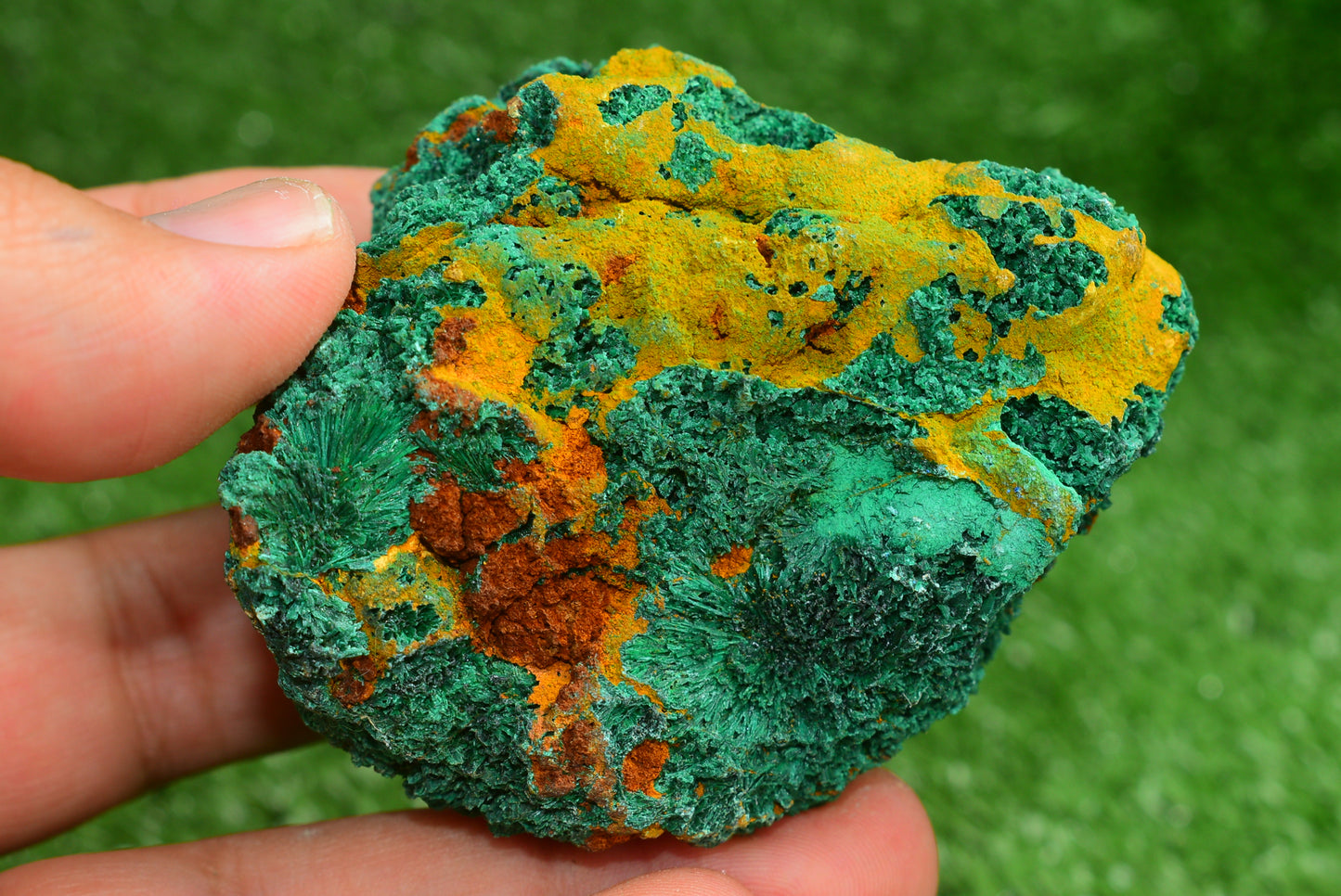 Malachite Crystal from Morocco - Freeform Cluster Shape, Natural and Genuine - MeteoriteNwa.com