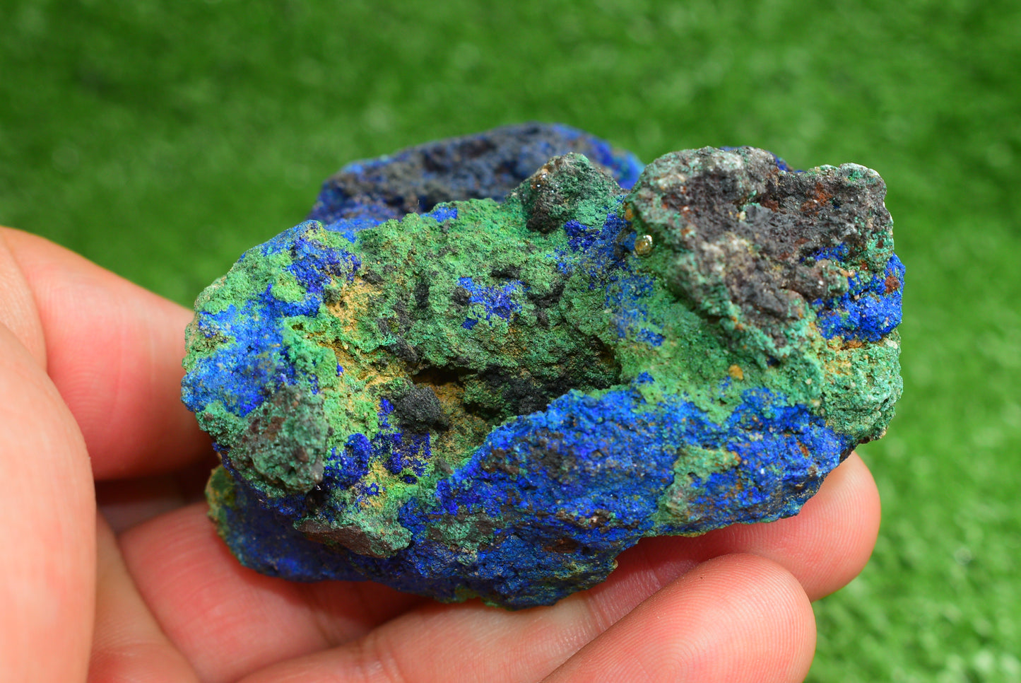 Azurite over Malachite Crystal from Morocco - Freeform Cluster Shape, Natural and Genuine - MeteoriteNwa.com