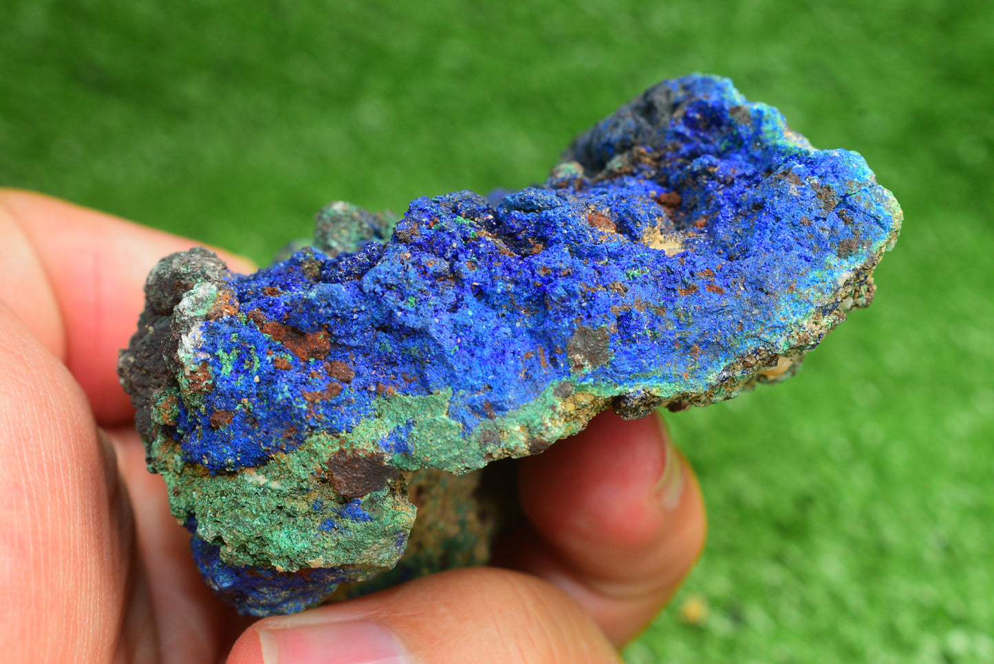 Azurite over Malachite Crystal from Morocco - Freeform Cluster Shape, Natural and Genuine - MeteoriteNwa.com
