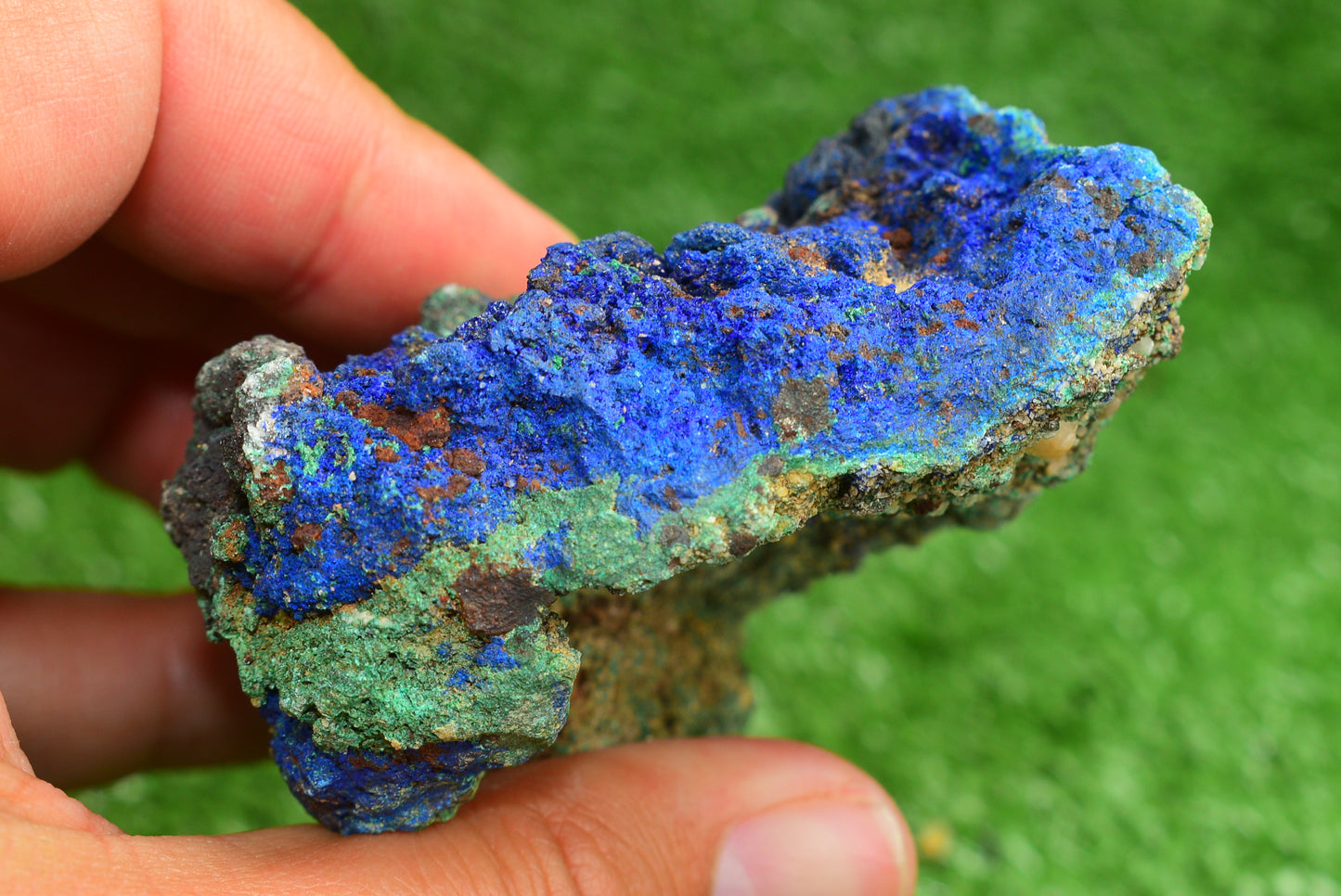 Azurite over Malachite Crystal from Morocco - Freeform Cluster Shape, Natural and Genuine - MeteoriteNwa.com