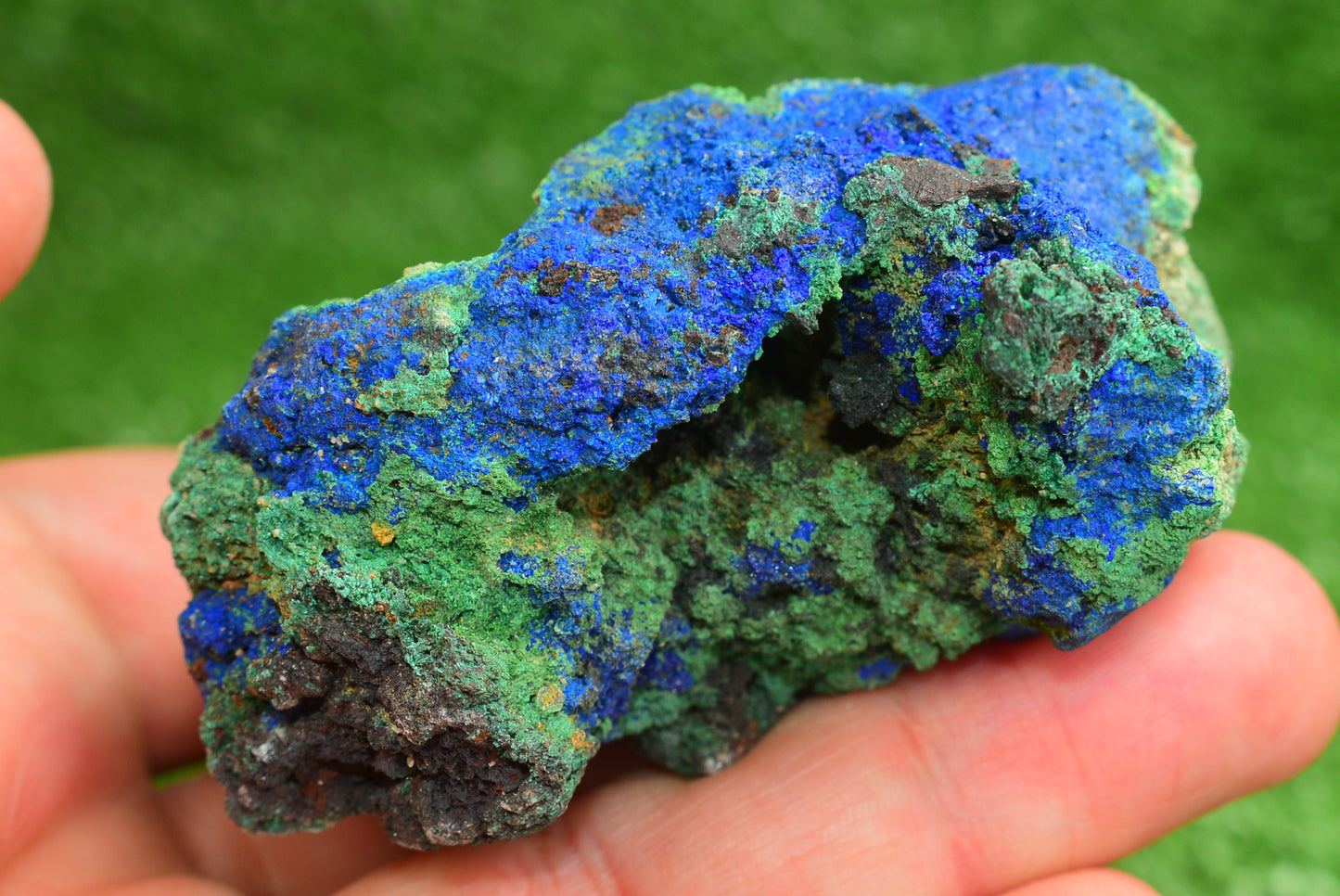 Azurite over Malachite Crystal from Morocco - Freeform Cluster Shape, Natural and Genuine - MeteoriteNwa.com