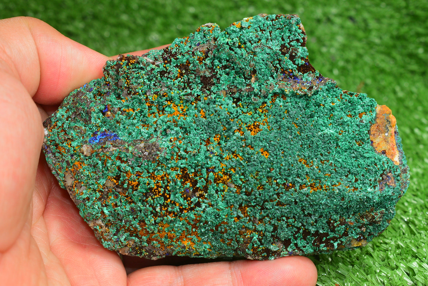 Azurite over Malachite Crystal from Morocco - Freeform Cluster Shape, Natural and Genuine - MeteoriteNwa.com