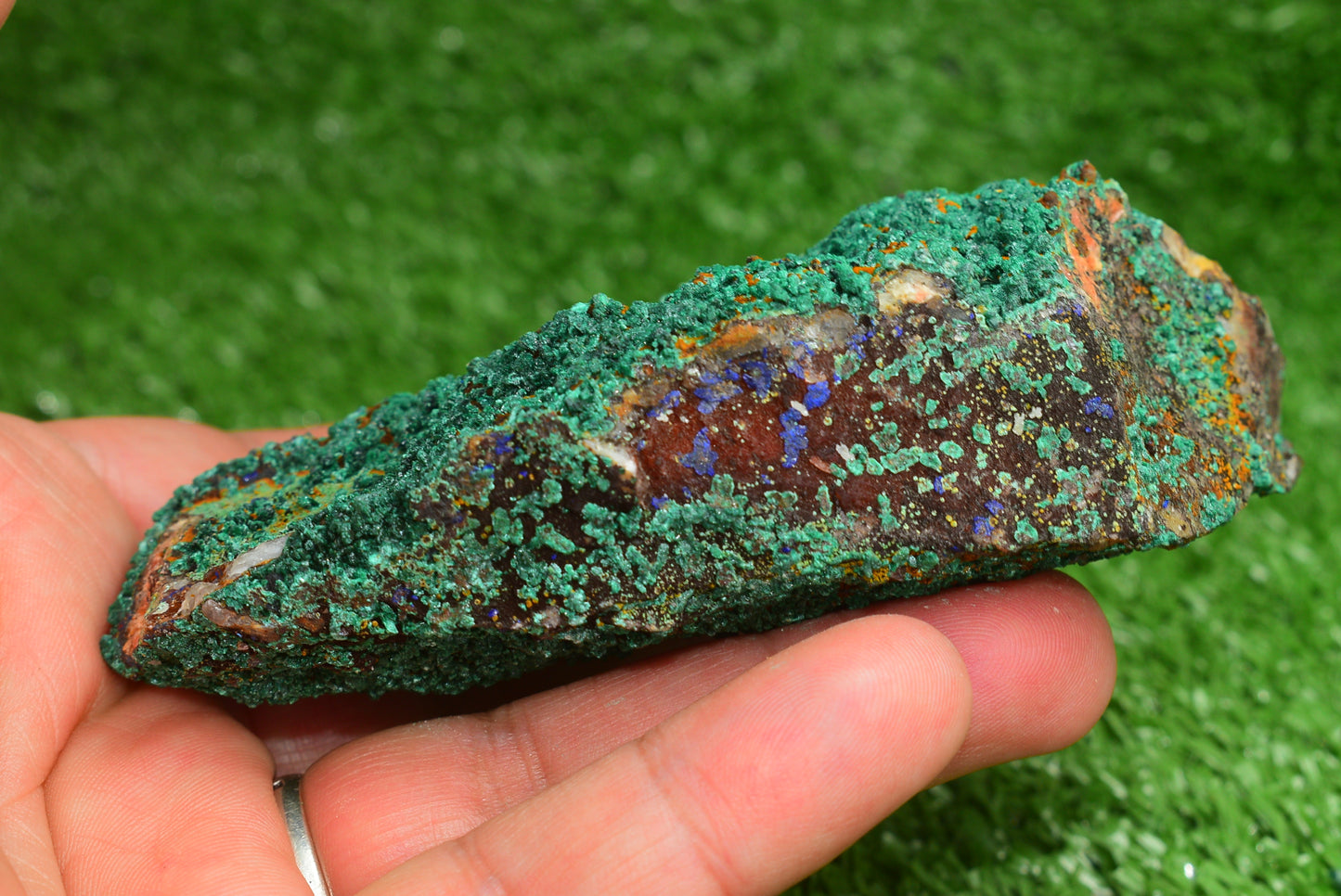 Azurite over Malachite Crystal from Morocco - Freeform Cluster Shape, Natural and Genuine - MeteoriteNwa.com