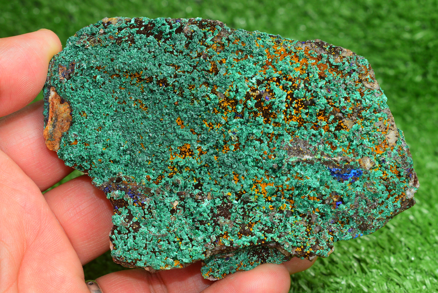 Azurite over Malachite Crystal from Morocco - Freeform Cluster Shape, Natural and Genuine - MeteoriteNwa.com