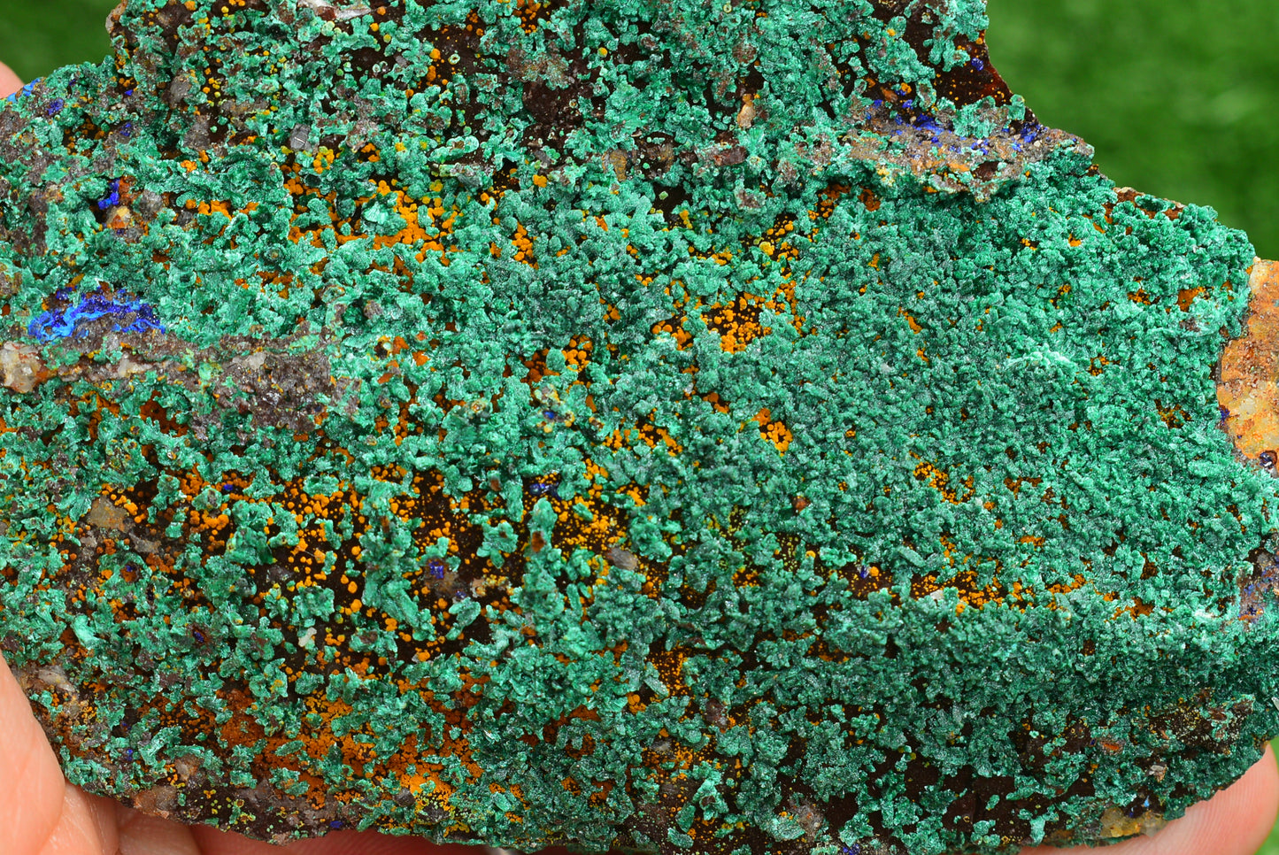 Azurite over Malachite Crystal from Morocco - Freeform Cluster Shape, Natural and Genuine - MeteoriteNwa.com
