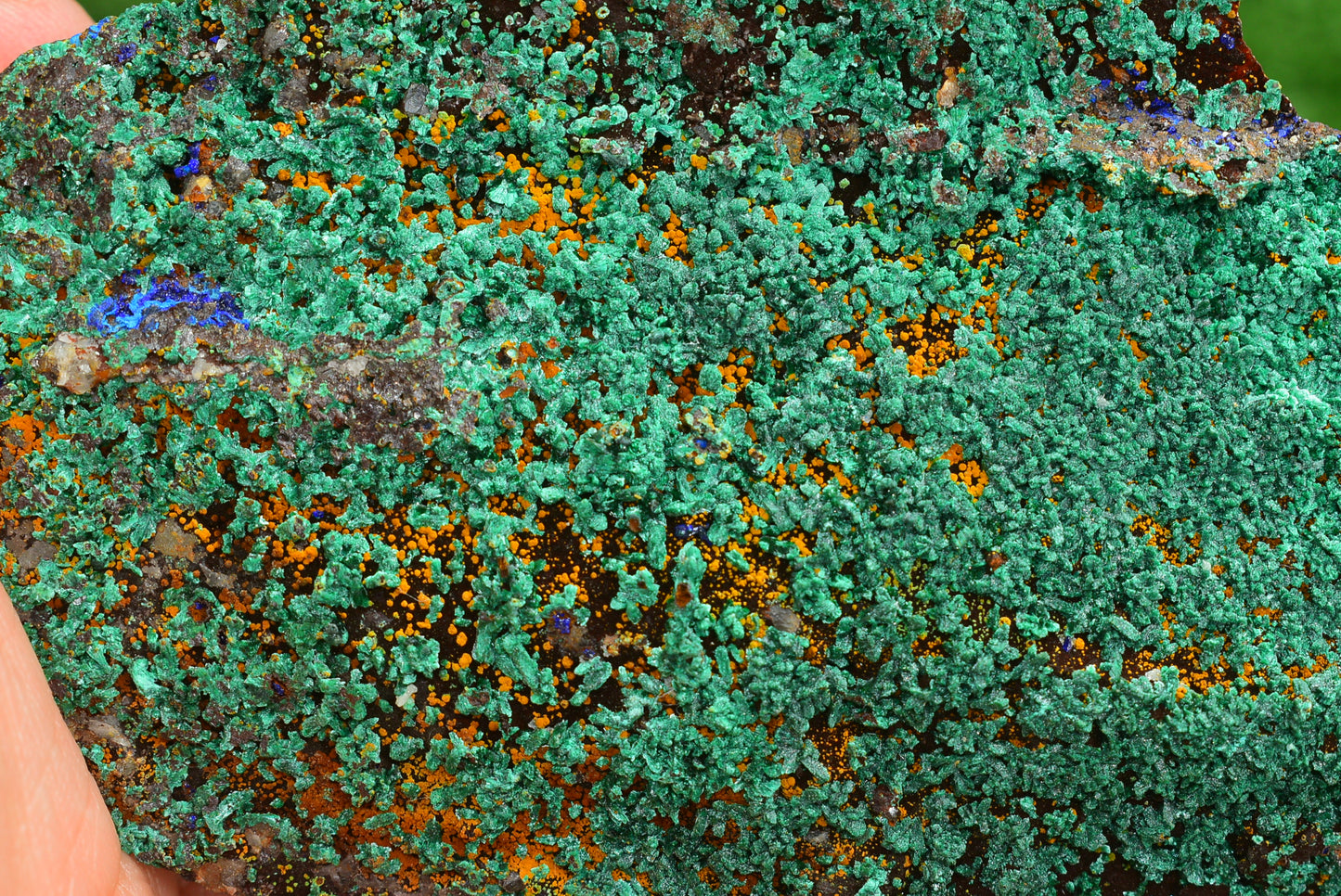 Azurite over Malachite Crystal from Morocco - Freeform Cluster Shape, Natural and Genuine - MeteoriteNwa.com
