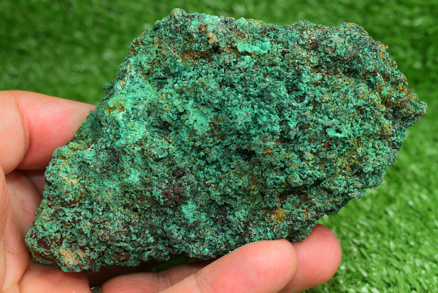 Azurite over Malachite Crystal from Morocco - Freeform Cluster Shape, Natural and Genuine - MeteoriteNwa.com