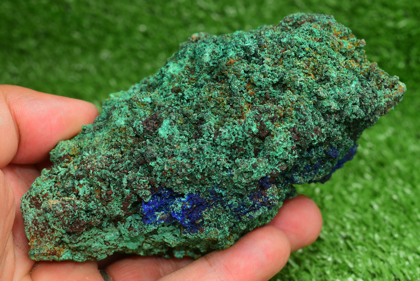 Azurite over Malachite Crystal from Morocco - Freeform Cluster Shape, Natural and Genuine - MeteoriteNwa.com