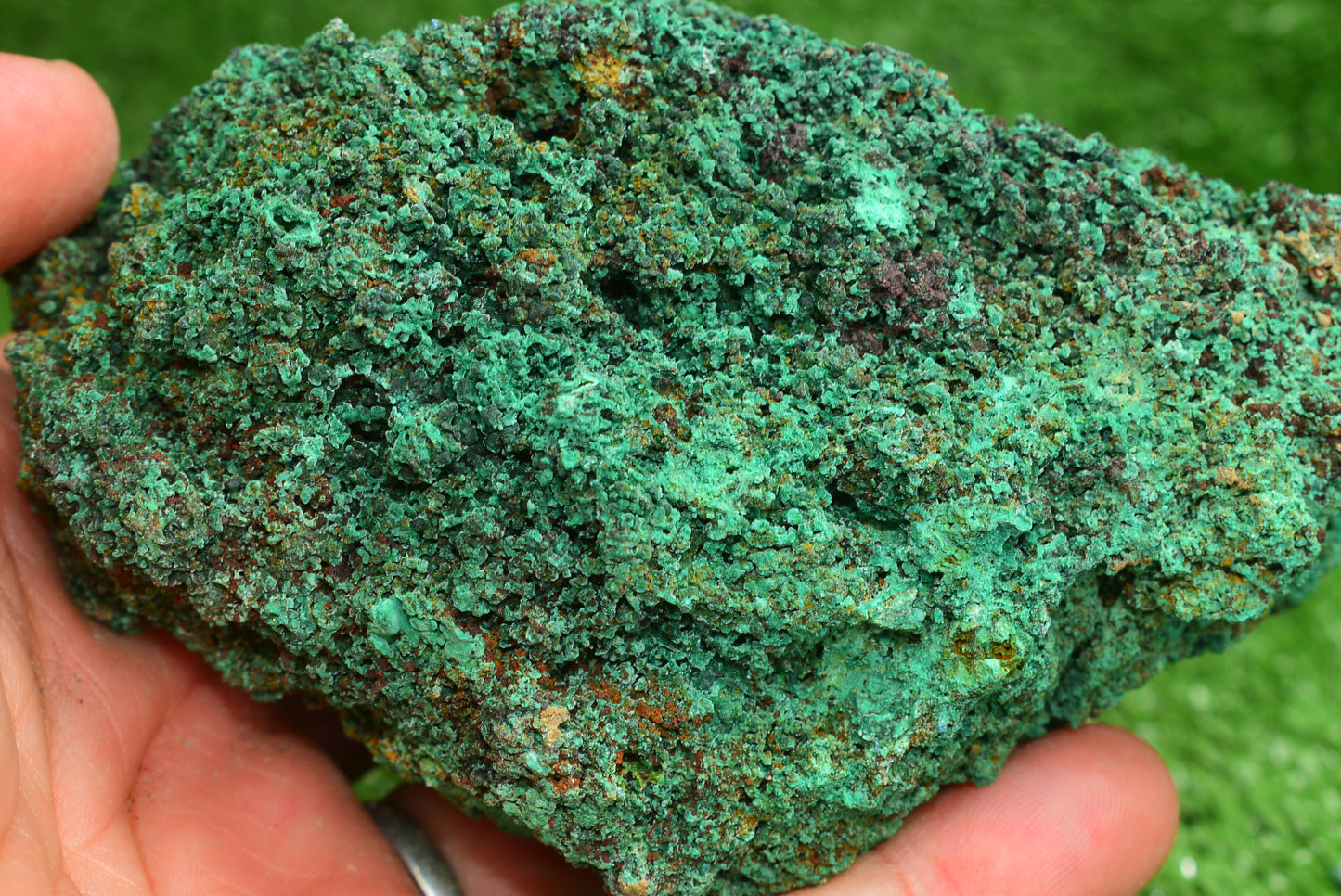 Azurite over Malachite Crystal from Morocco - Freeform Cluster Shape, Natural and Genuine - MeteoriteNwa.com