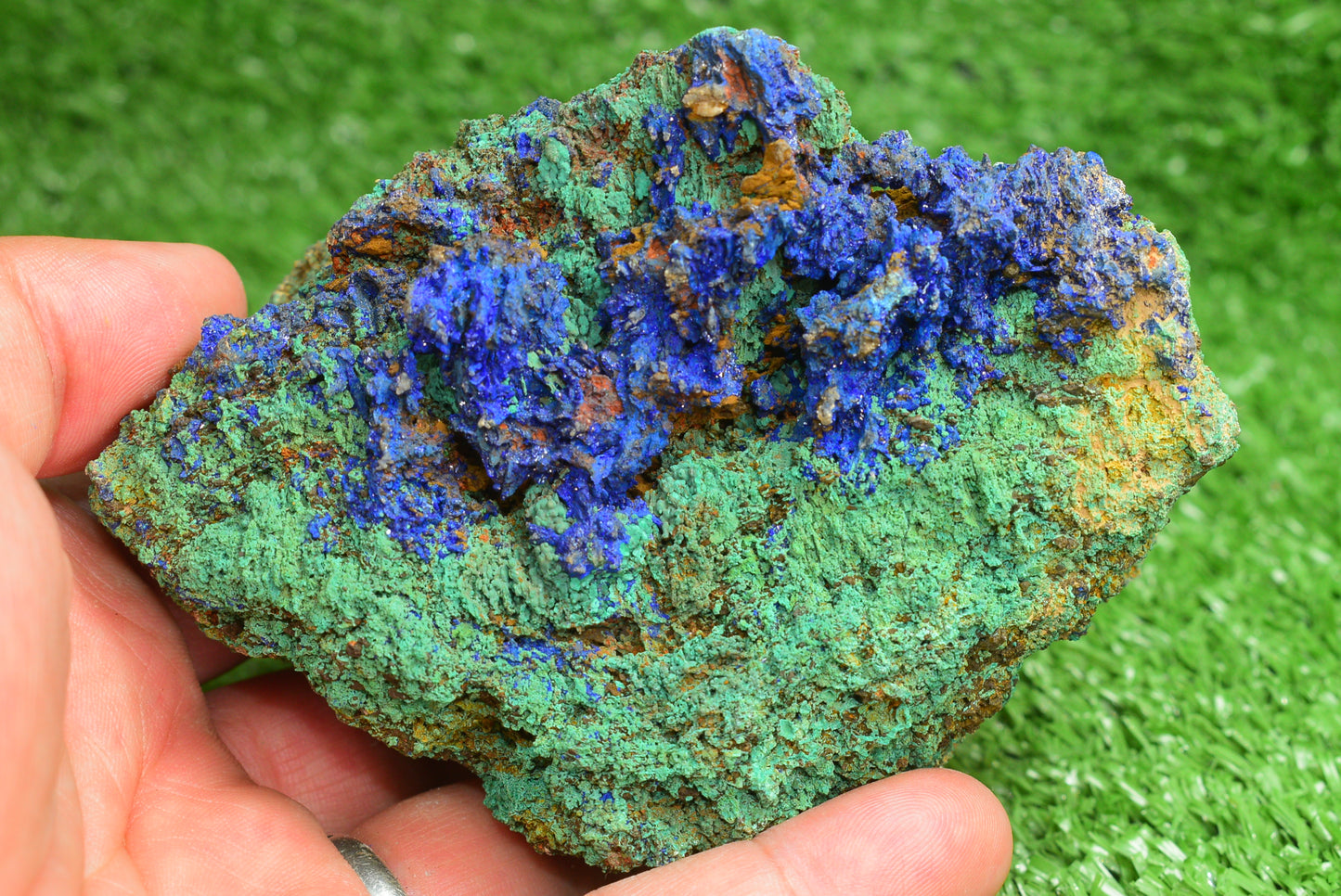 Azurite over Malachite Crystal from Morocco - Freeform Cluster Shape, Natural and Genuine - MeteoriteNwa.com