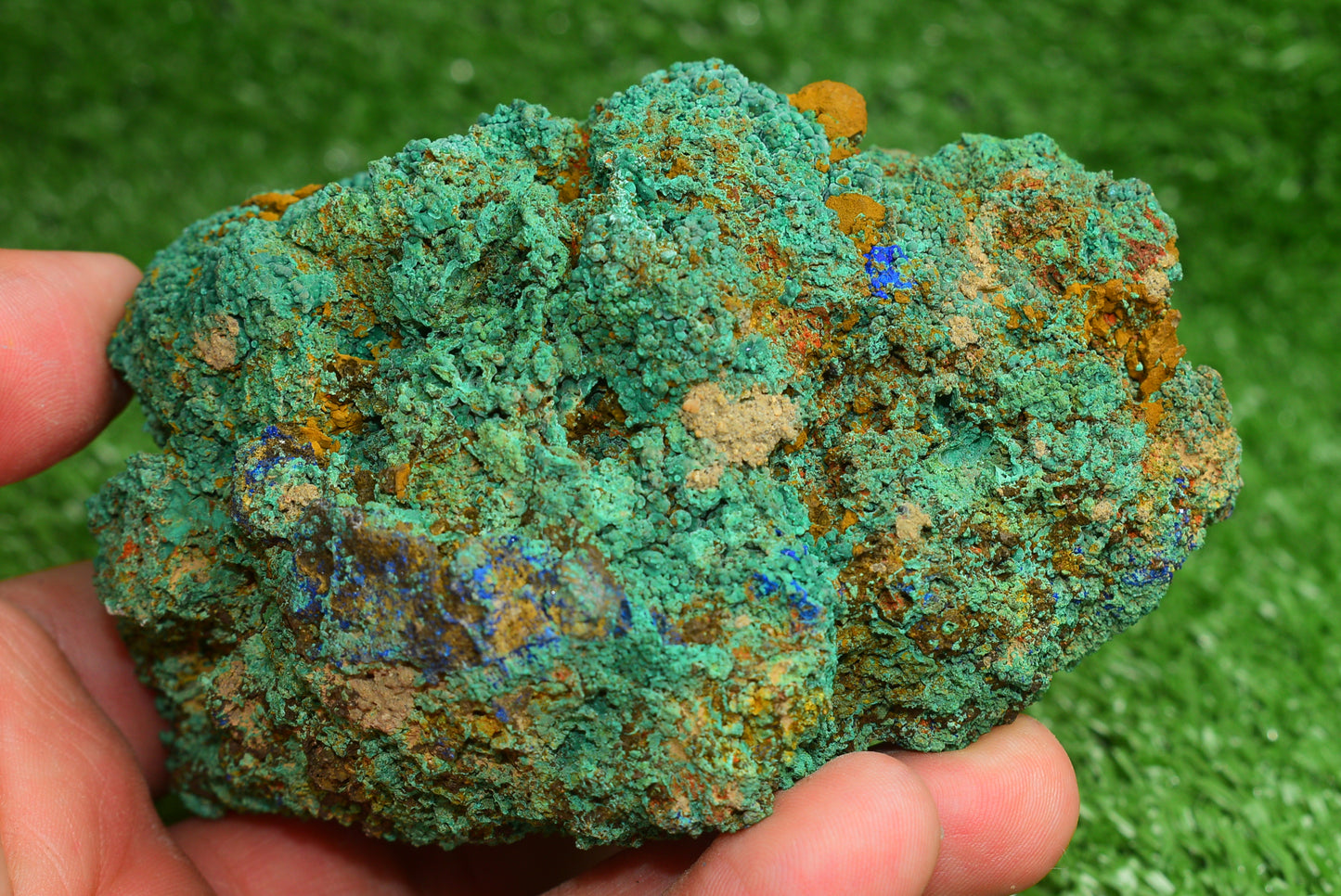 Azurite over Malachite Crystal from Morocco - Freeform Cluster Shape, Natural and Genuine - MeteoriteNwa.com
