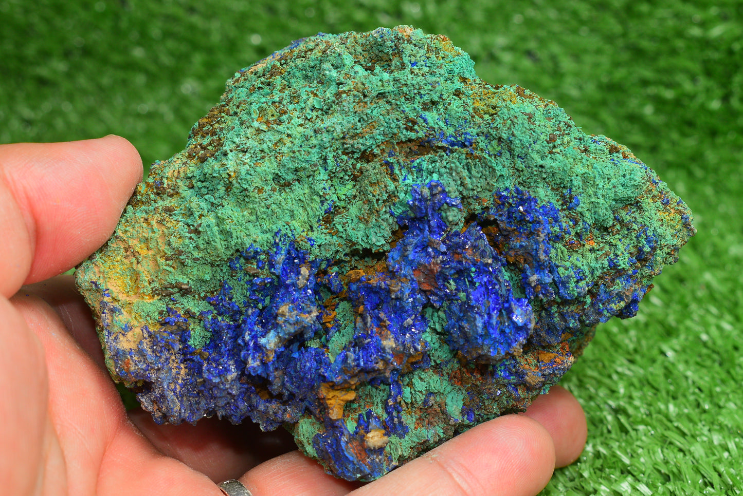 Azurite over Malachite Crystal from Morocco - Freeform Cluster Shape, Natural and Genuine - MeteoriteNwa.com
