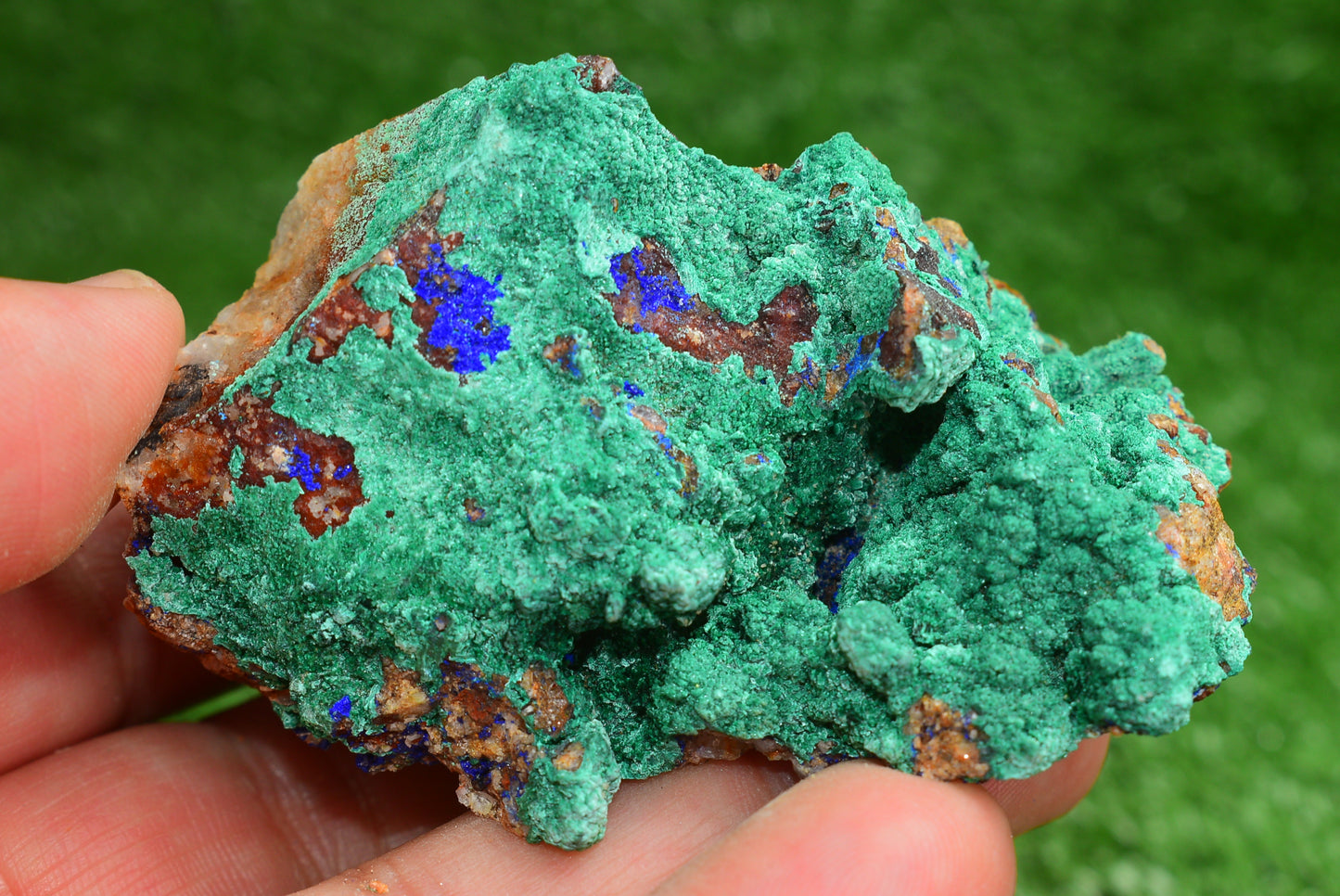 Azurite over Malachite Crystal from Morocco - Freeform Cluster Shape, Natural and Genuine - MeteoriteNwa.com