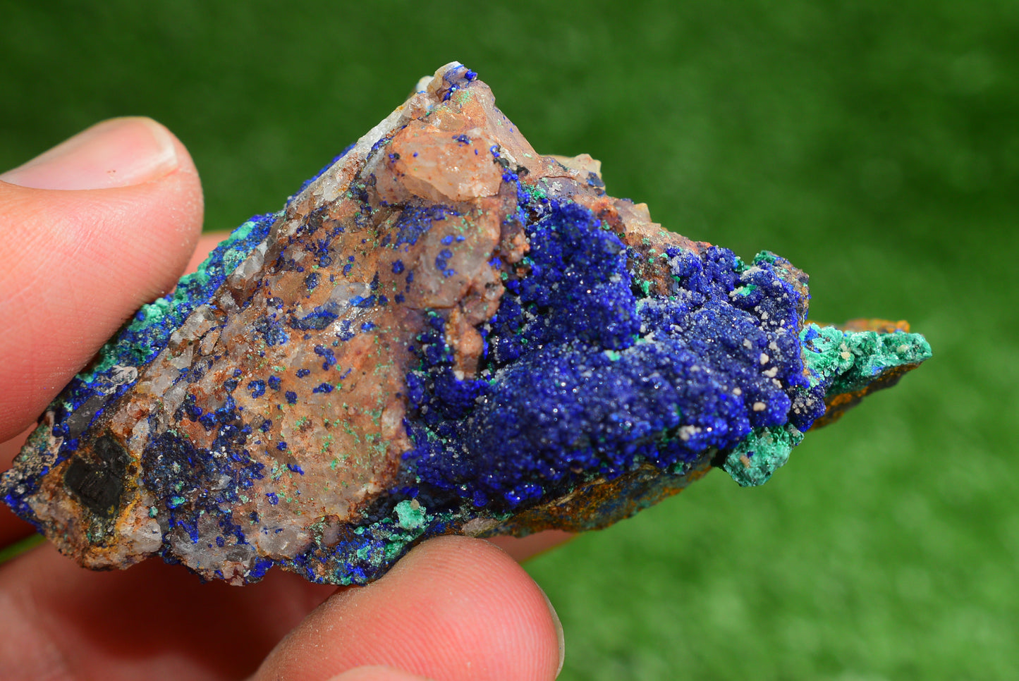 Azurite over Malachite Crystal from Morocco - Freeform Cluster Shape, Natural and Genuine - MeteoriteNwa.com