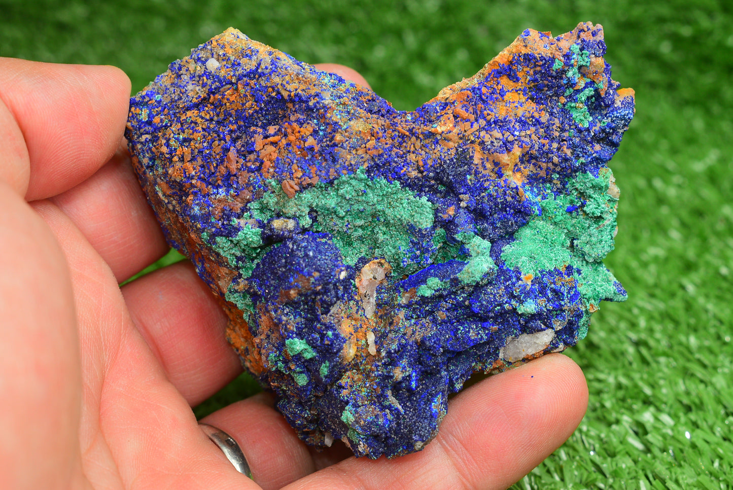 Azurite over Malachite Crystal from Morocco - Freeform Cluster Shape, Natural and Genuine - MeteoriteNwa.com