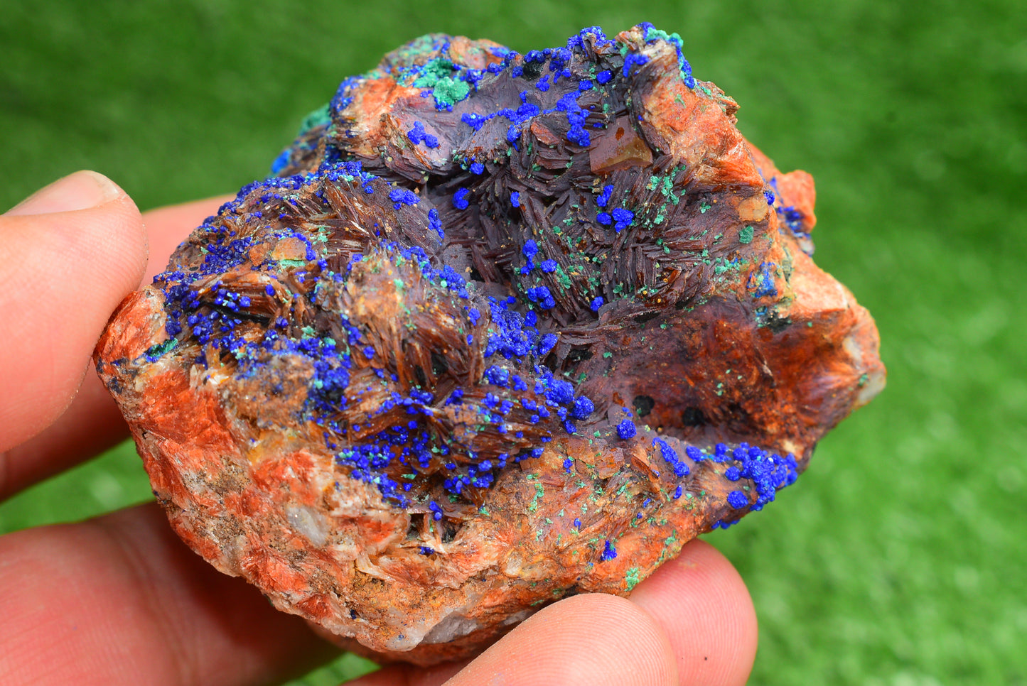 Azurite over Malachite Crystal from Morocco - Freeform Cluster Shape, Natural and Genuine - MeteoriteNwa.com