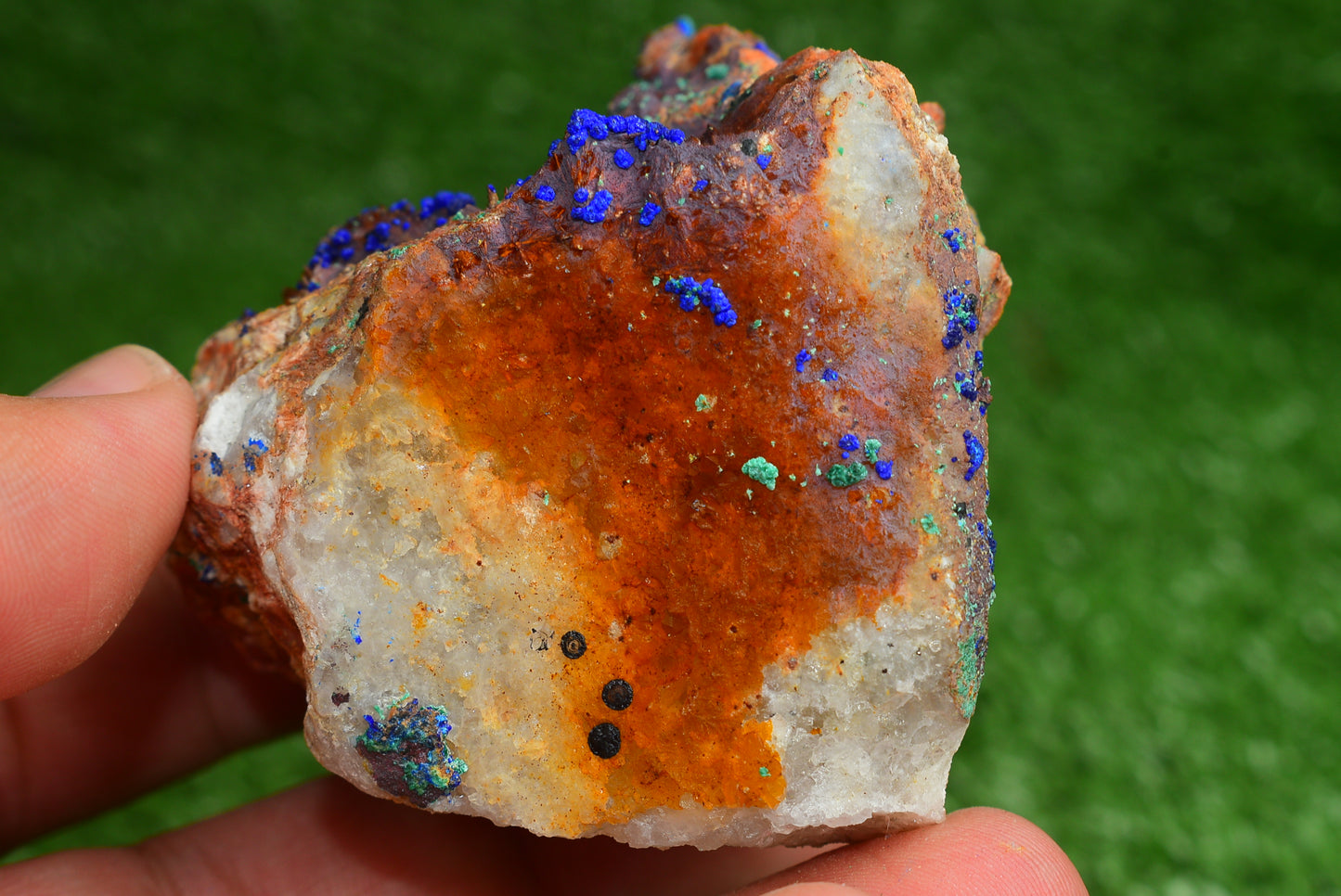 Azurite over Malachite Crystal from Morocco - Freeform Cluster Shape, Natural and Genuine - MeteoriteNwa.com