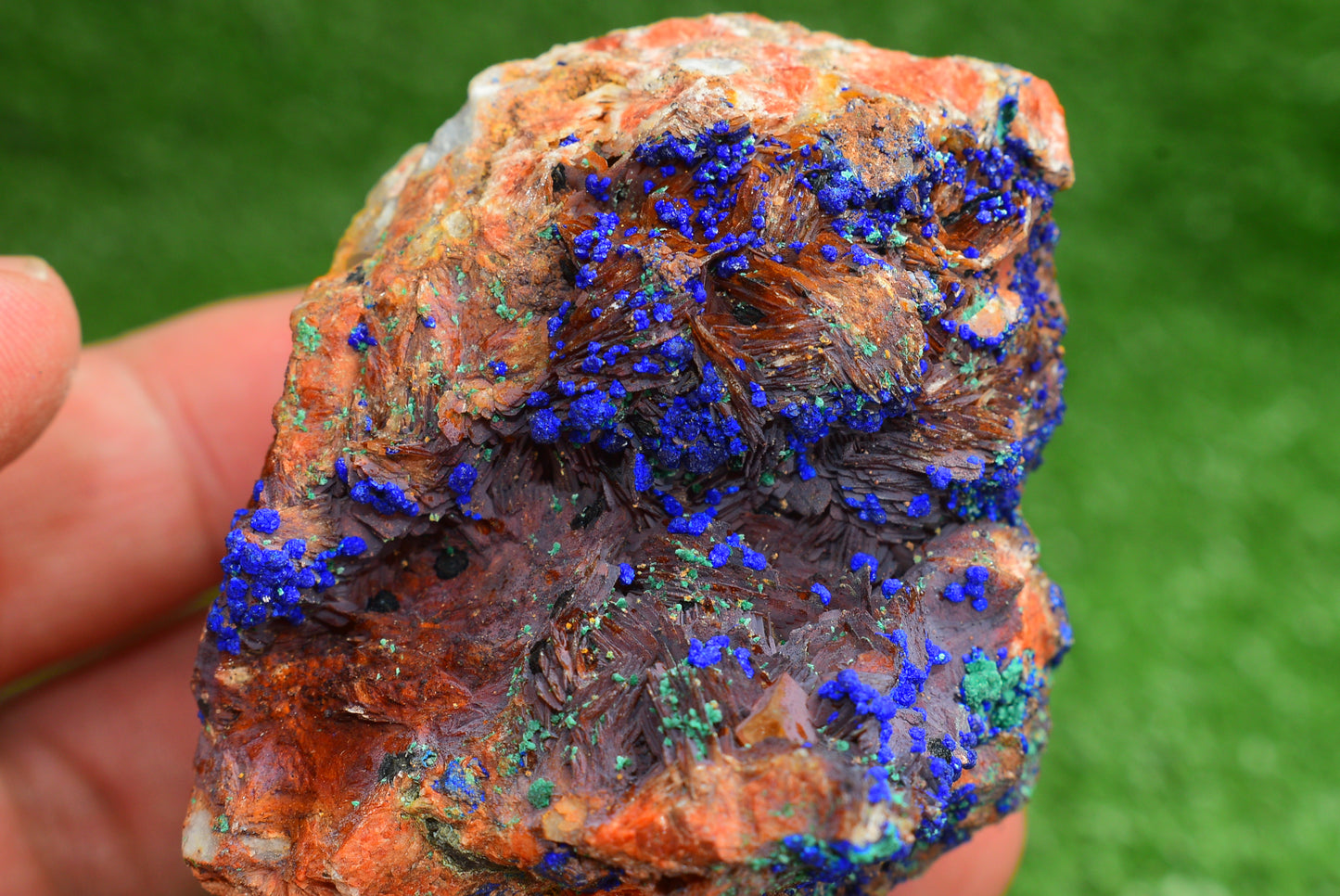 Azurite over Malachite Crystal from Morocco - Freeform Cluster Shape, Natural and Genuine - MeteoriteNwa.com
