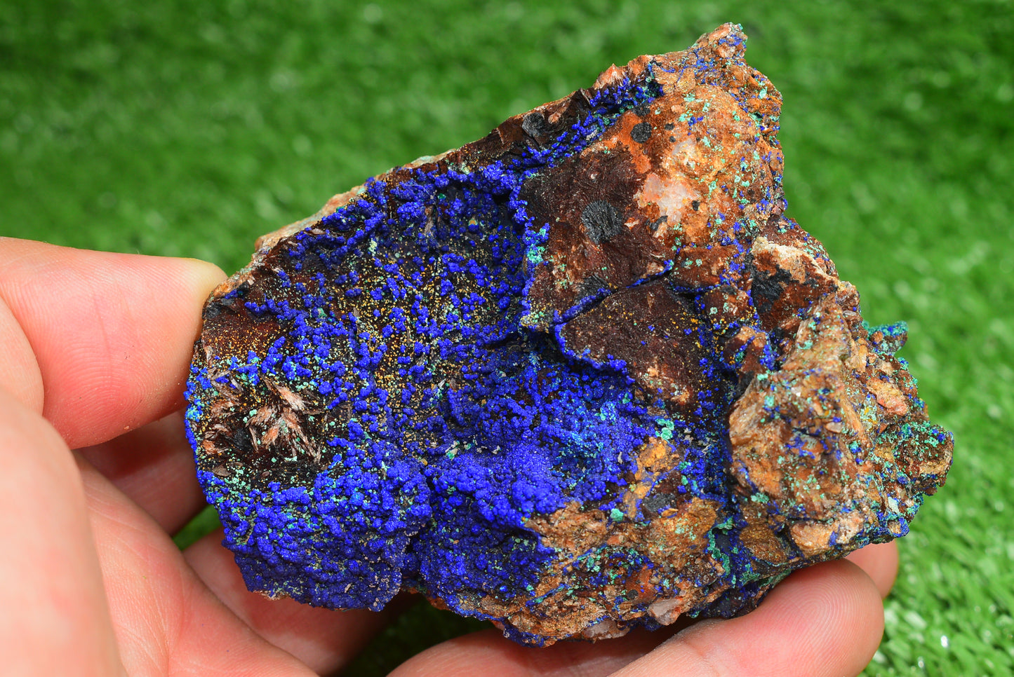 Azurite over Malachite Crystal from Morocco - Freeform Cluster Shape, Natural and Genuine - MeteoriteNwa.com