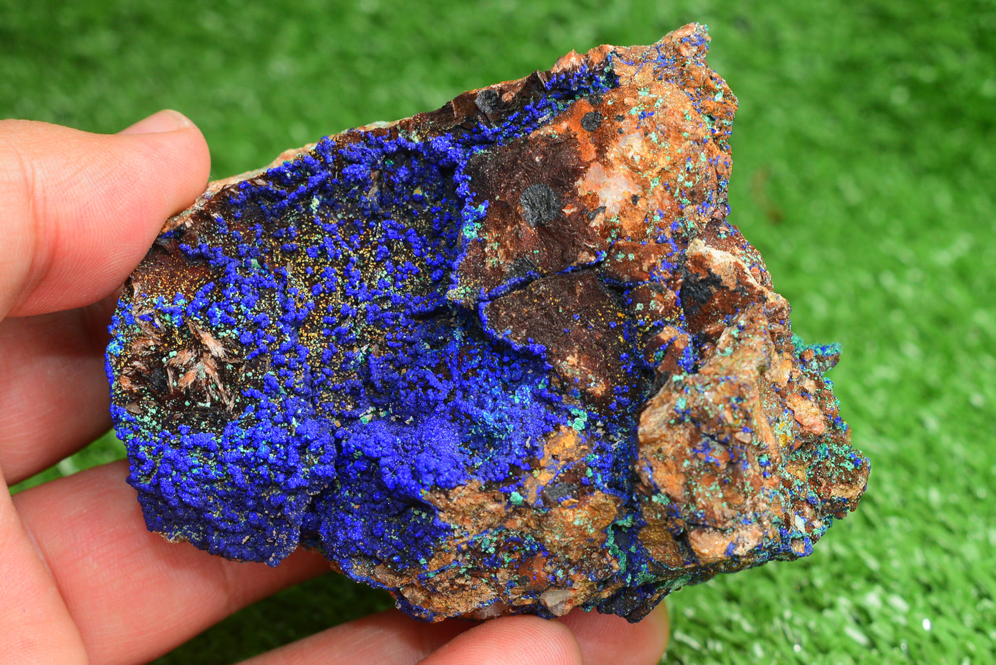 Azurite over Malachite Crystal from Morocco - Freeform Cluster Shape, Natural and Genuine - MeteoriteNwa.com