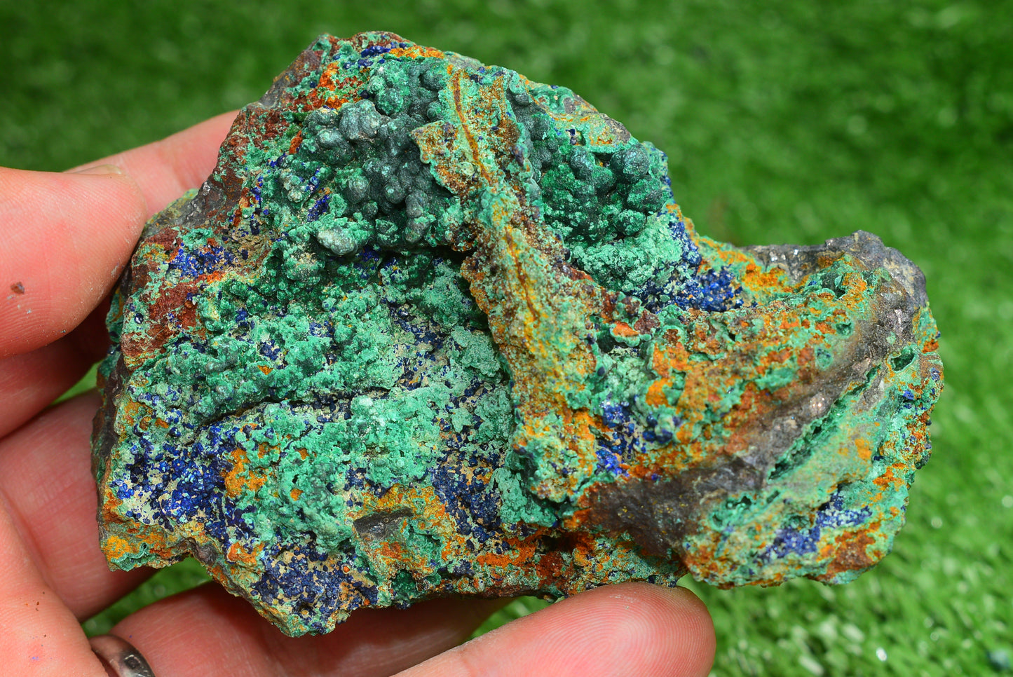 Azurite over Malachite Crystal from Morocco - Freeform Cluster Shape, Natural and Genuine - MeteoriteNwa.com