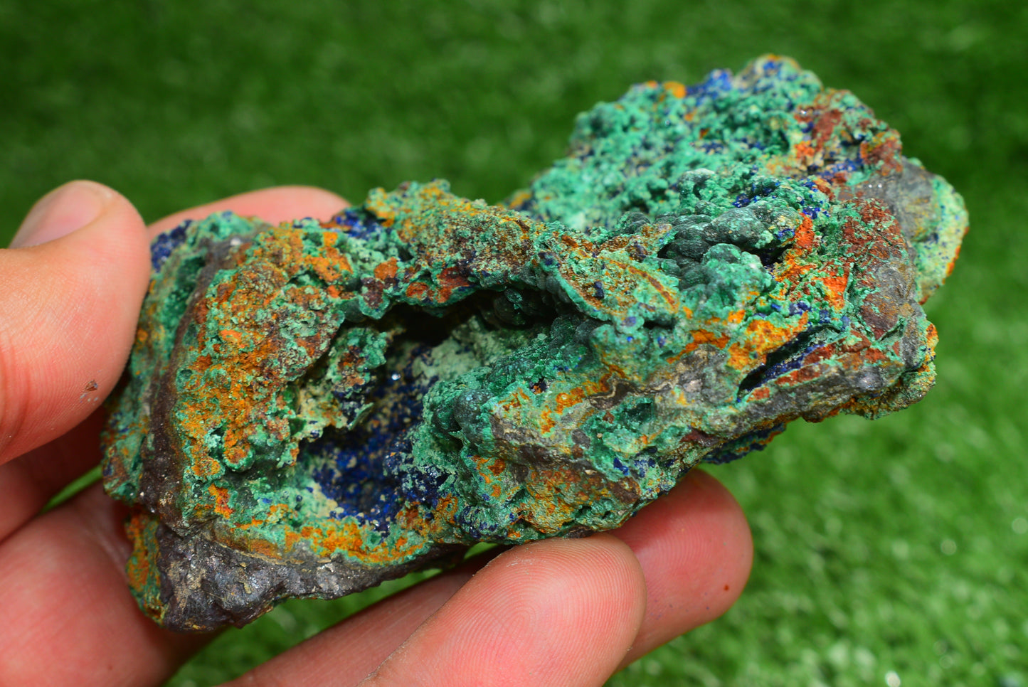 Azurite over Malachite Crystal from Morocco - Freeform Cluster Shape, Natural and Genuine - MeteoriteNwa.com