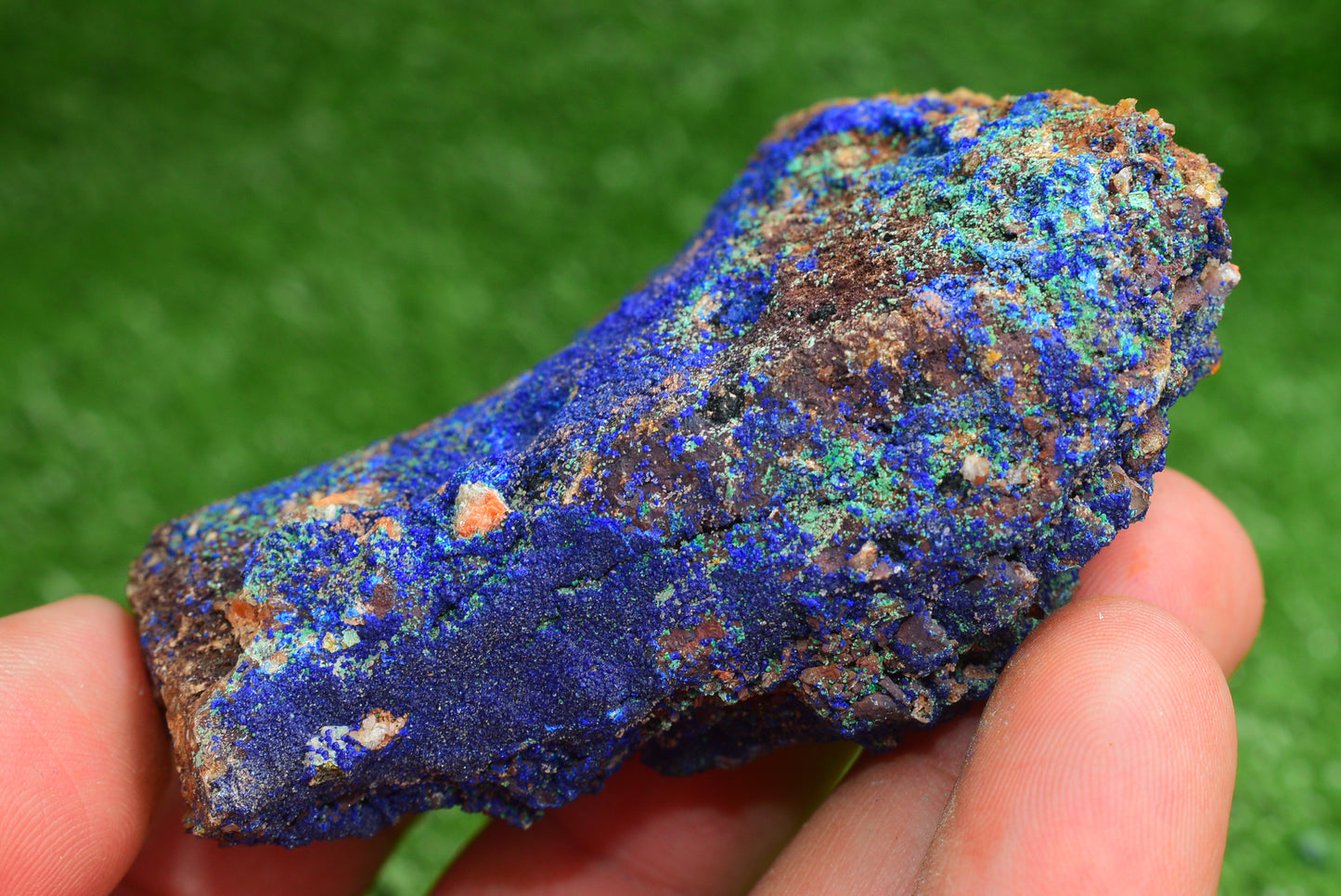 Azurite over Malachite Crystal from Morocco - Freeform Cluster Shape, Natural and Genuine - MeteoriteNwa.com