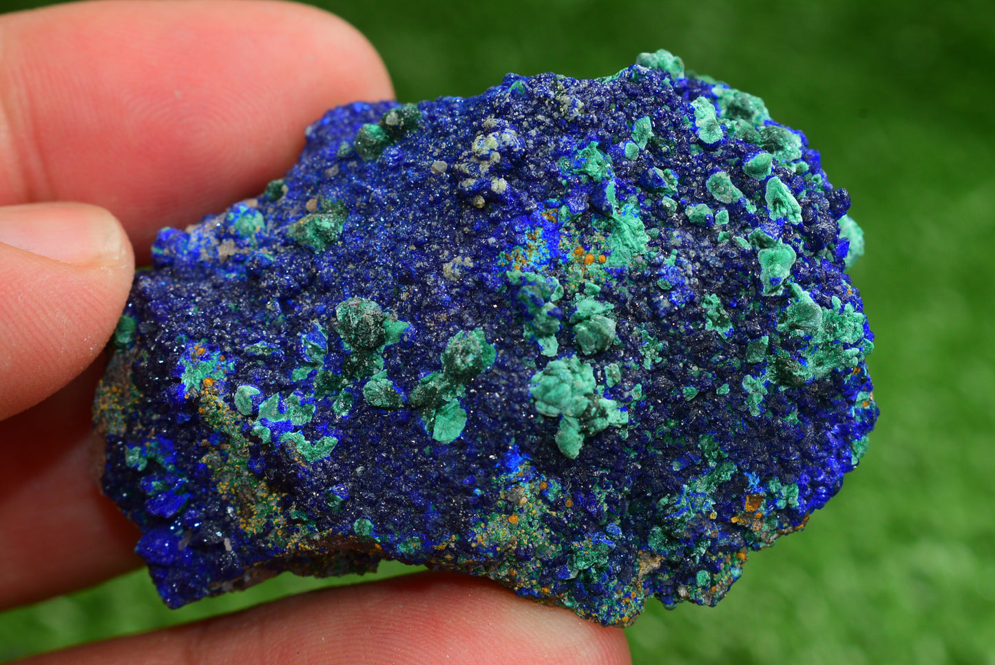 Azurite over Malachite Crystal from Morocco - Freeform Cluster Shape, Natural and Genuine - MeteoriteNwa.com