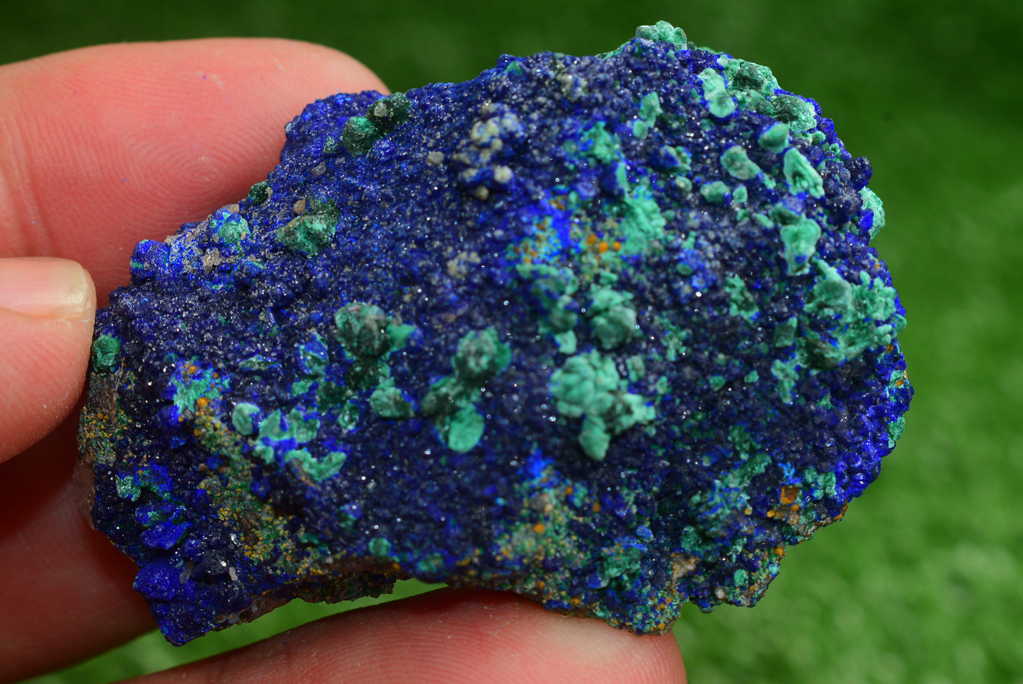 Azurite over Malachite Crystal from Morocco - Freeform Cluster Shape, Natural and Genuine - MeteoriteNwa.com