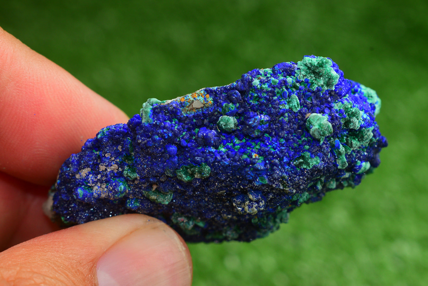 Azurite over Malachite Crystal from Morocco - Freeform Cluster Shape, Natural and Genuine - MeteoriteNwa.com
