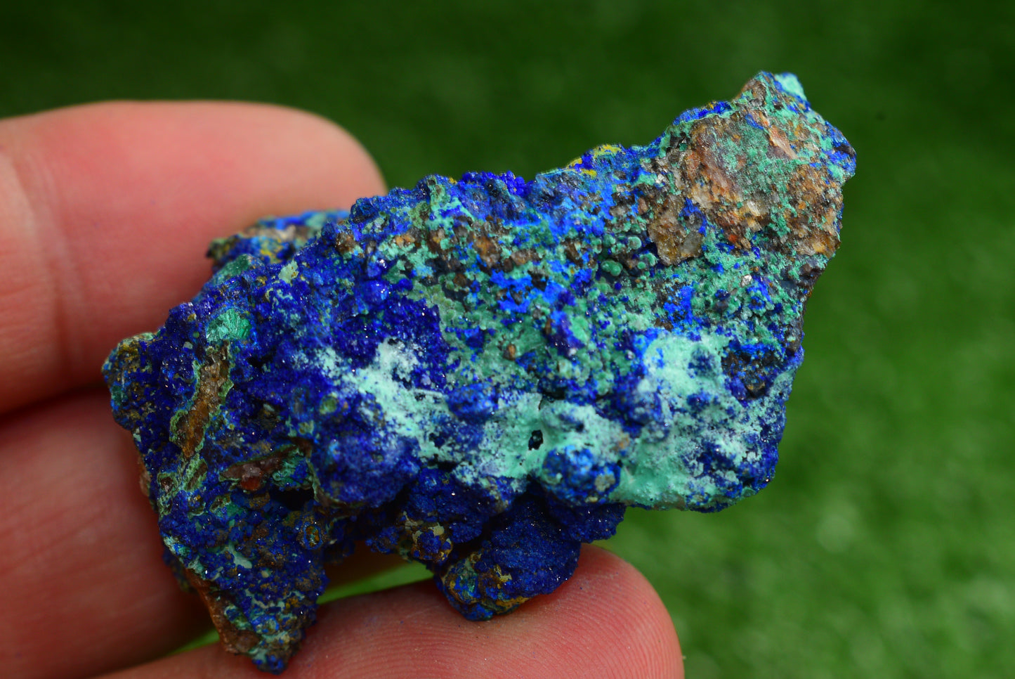 Azurite over Malachite Crystal from Morocco - Freeform Cluster Shape, Natural and Genuine - MeteoriteNwa.com