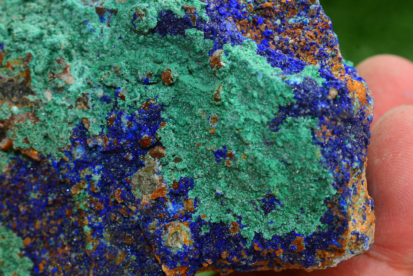 Azurite over Malachite Crystal from Morocco - Freeform Cluster Shape, Natural and Genuine - MeteoriteNwa.com