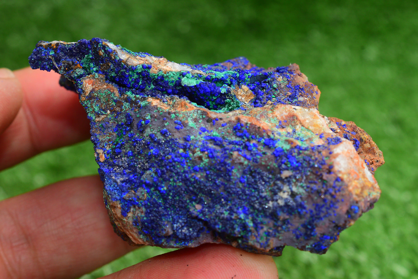 Azurite over Malachite Crystal from Morocco - Freeform Cluster Shape, Natural and Genuine - MeteoriteNwa.com