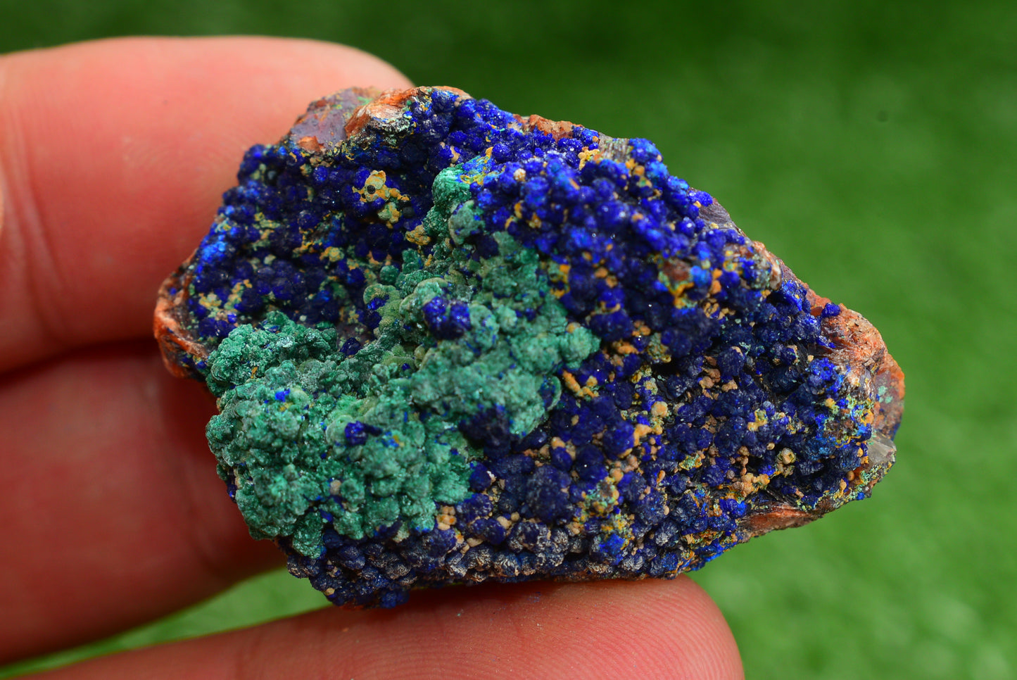 Azurite over Malachite Crystal from Morocco - Freeform Cluster Shape, Natural and Genuine - MeteoriteNwa.com