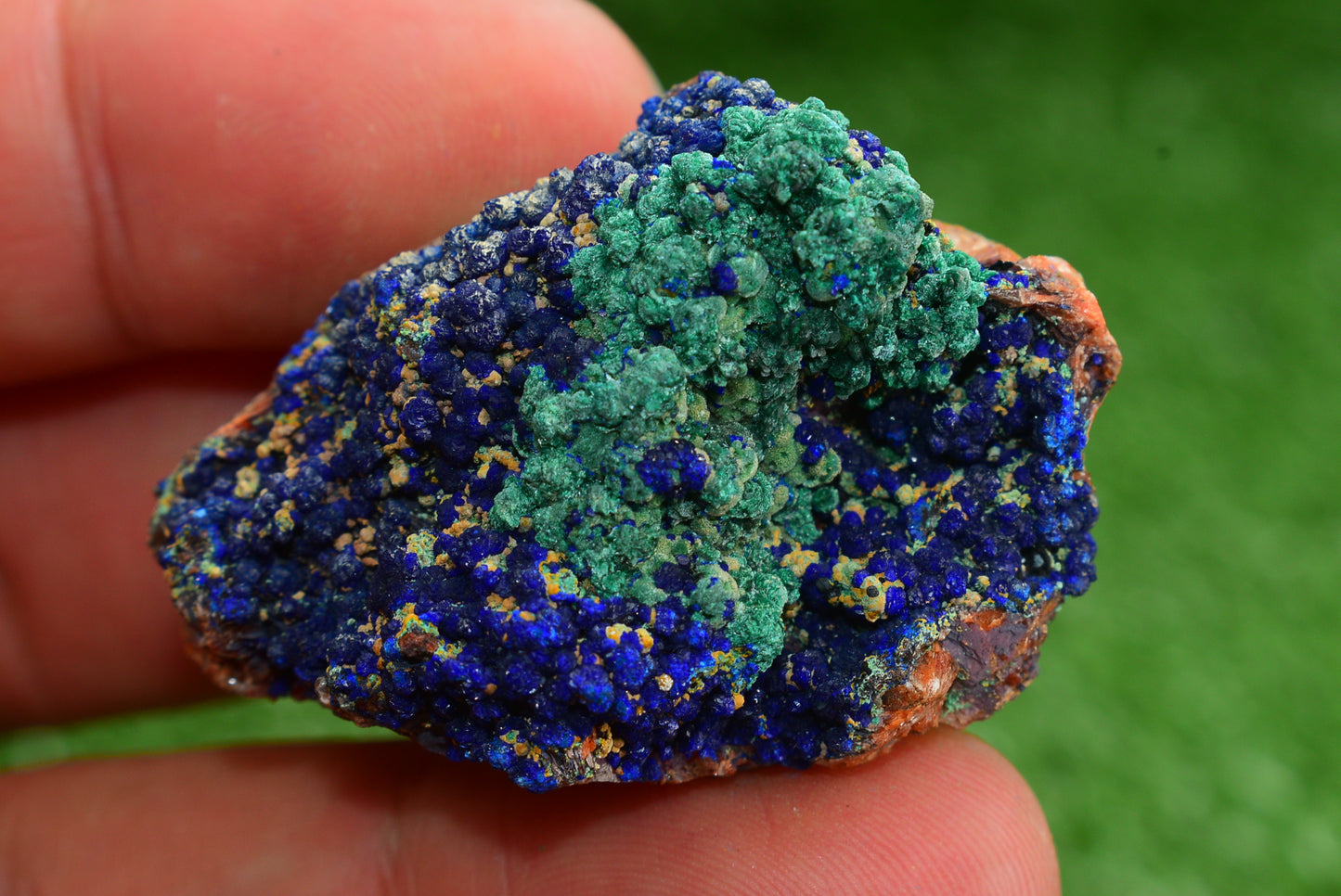 Azurite over Malachite Crystal from Morocco - Freeform Cluster Shape, Natural and Genuine - MeteoriteNwa.com