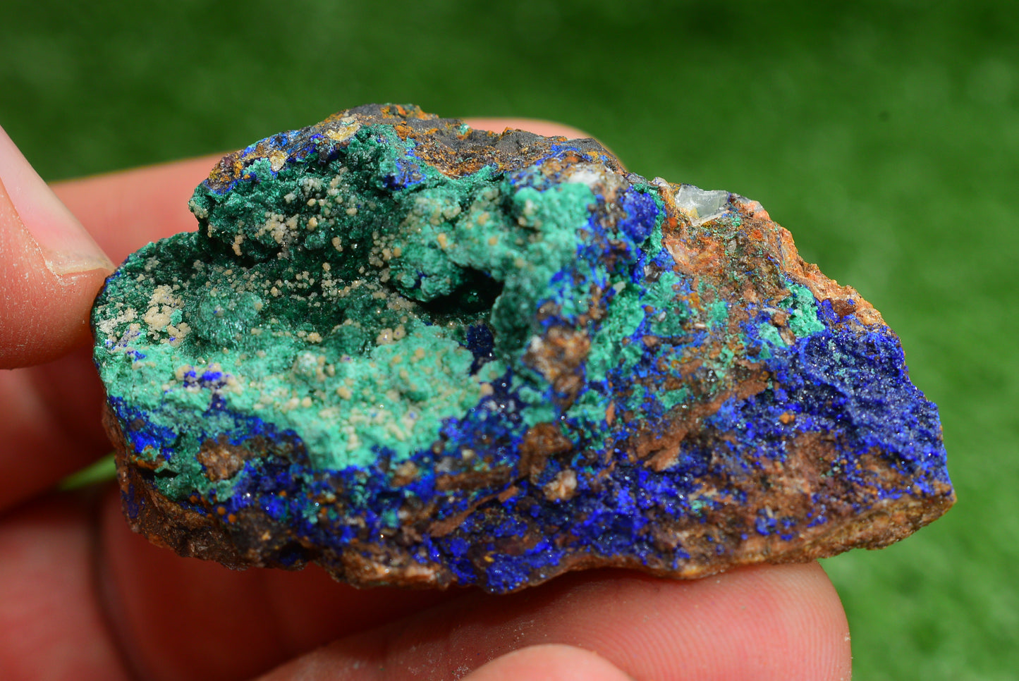 Azurite over Malachite Crystal from Morocco - Freeform Cluster Shape, Natural and Genuine - MeteoriteNwa.com