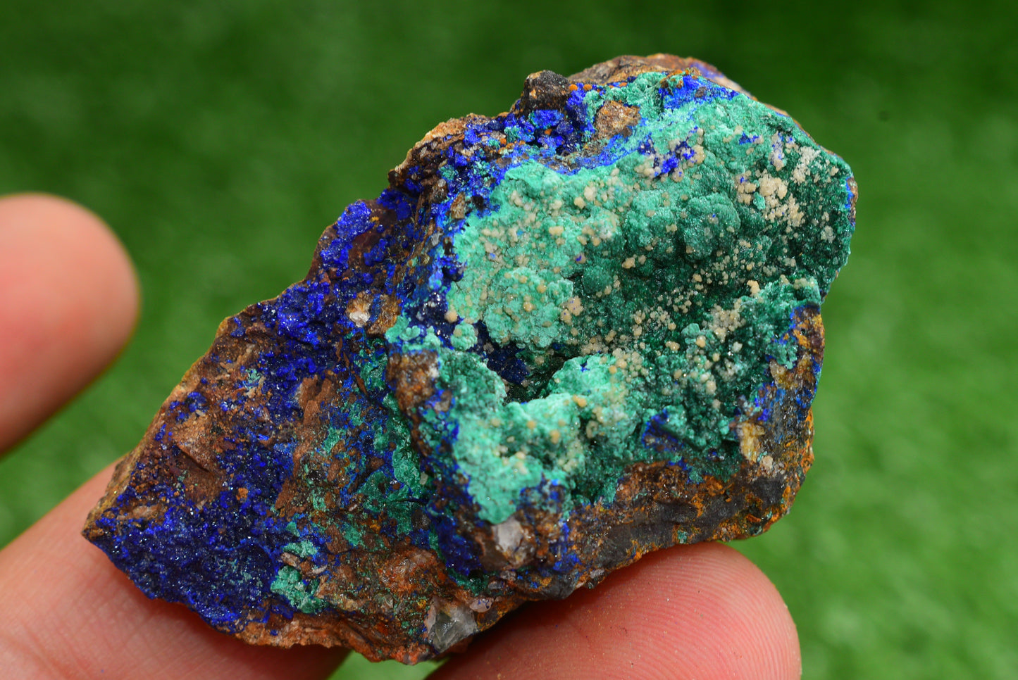 Azurite over Malachite Crystal from Morocco - Freeform Cluster Shape, Natural and Genuine - MeteoriteNwa.com