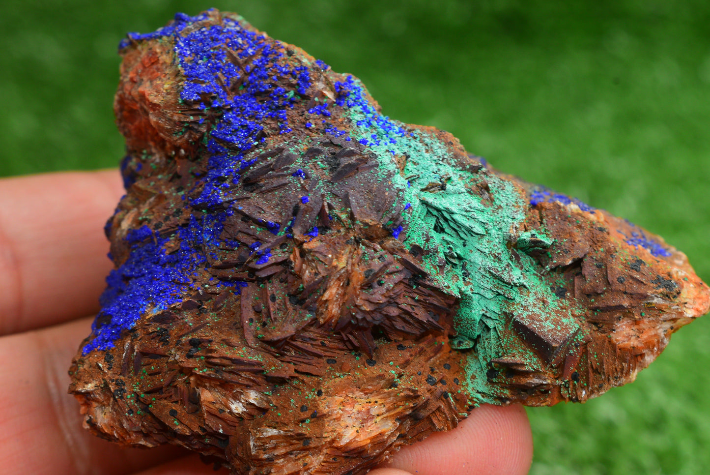 Azurite over Malachite Crystal from Morocco - Freeform Cluster Shape, Natural and Genuine - MeteoriteNwa.com